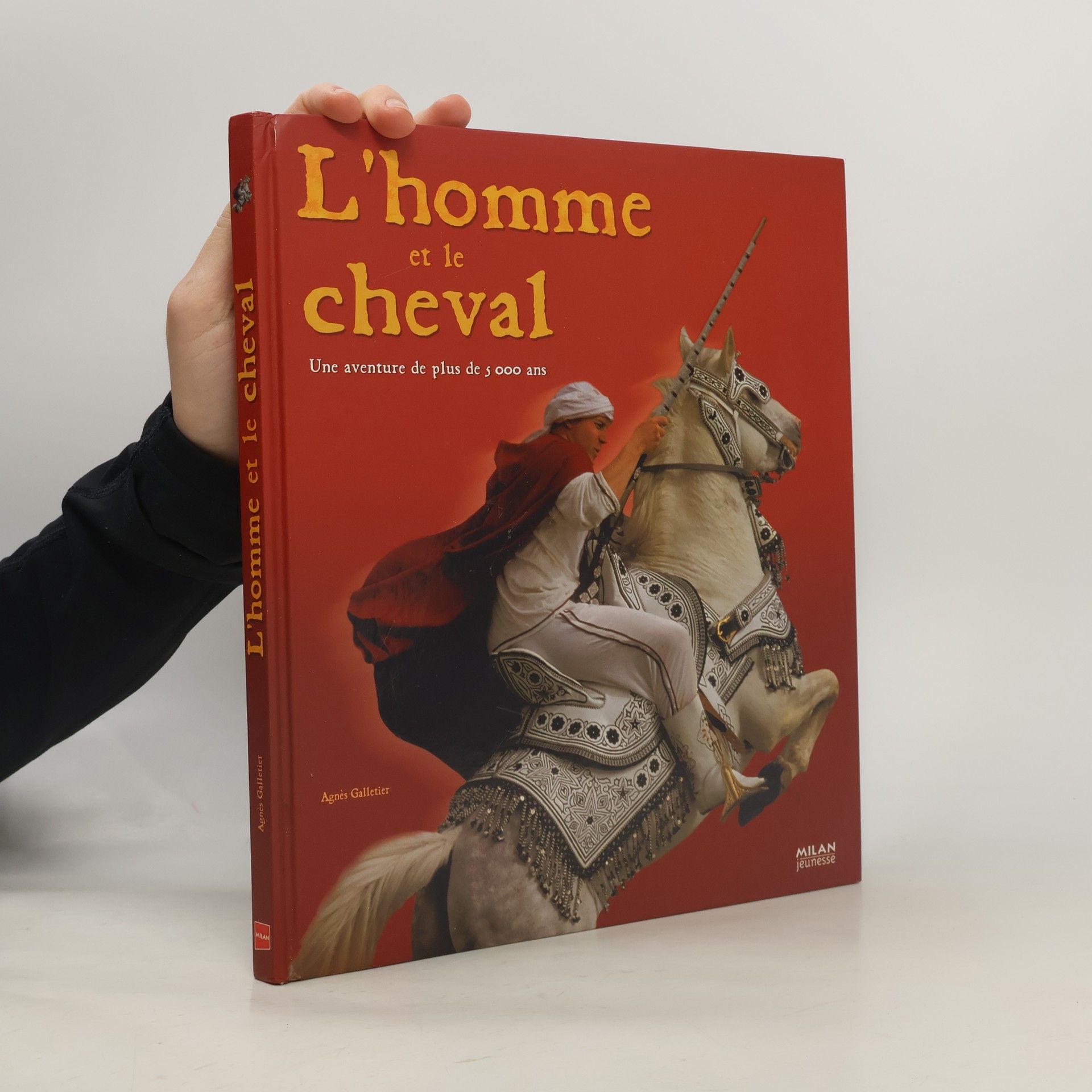 L'homme et le cheval