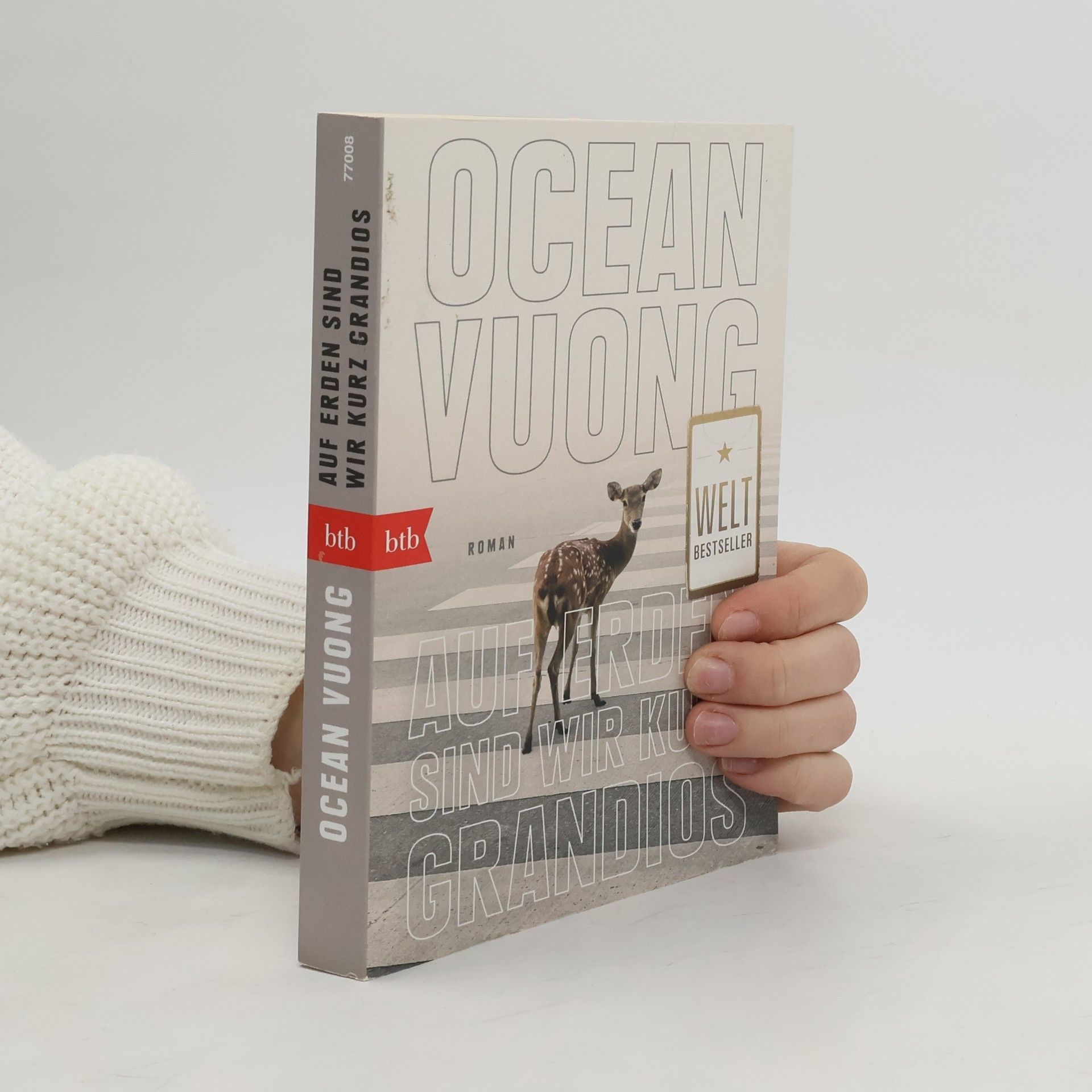 Ocean Vuong Auf Erden sind wir kurz grandios