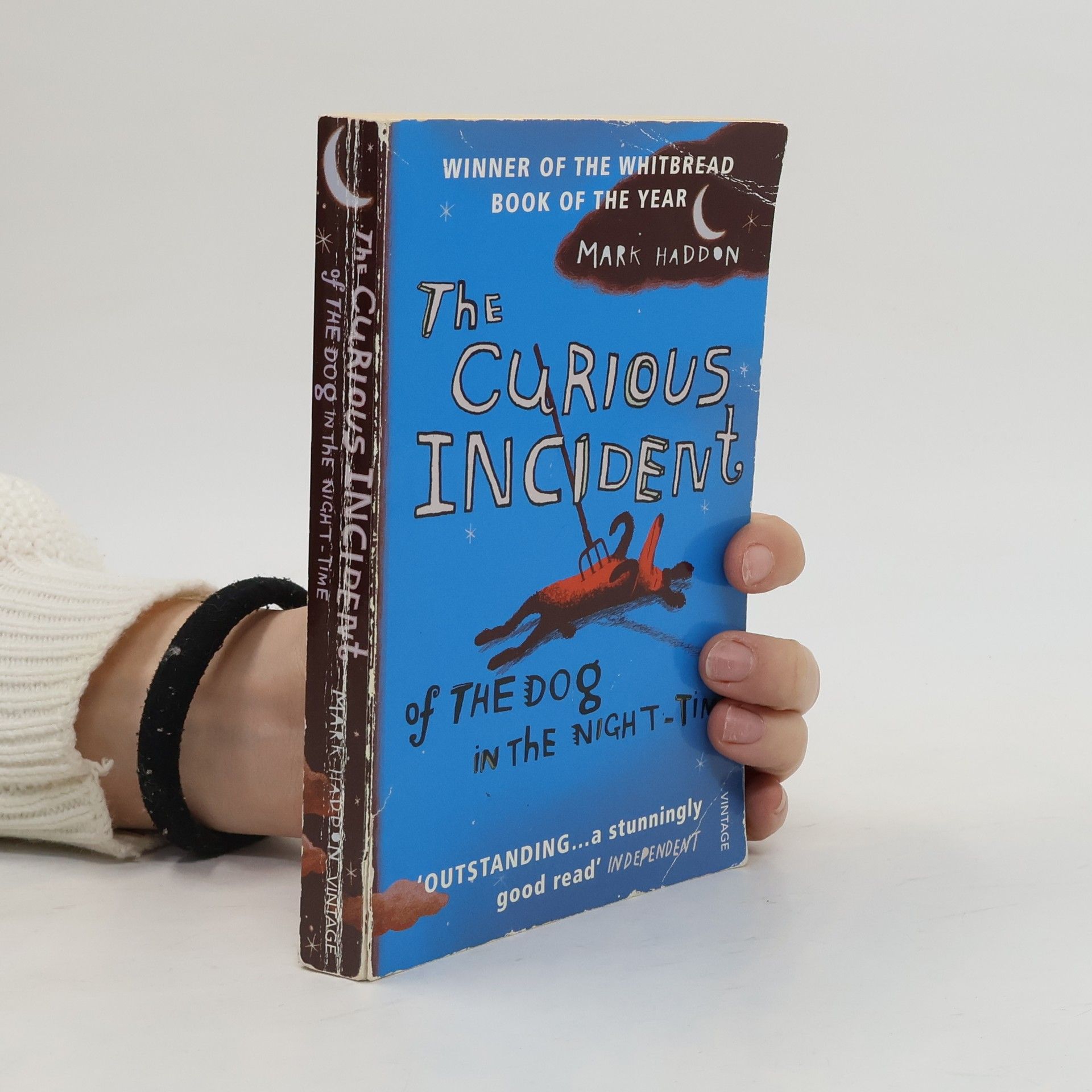 Mark Haddon The Curious Incident of The Dog in The Night-Time