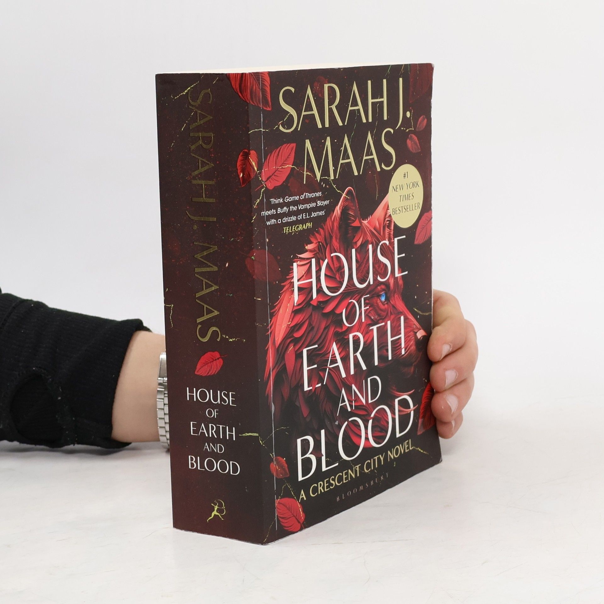 Sarah J. Maas House of Earth and Blood