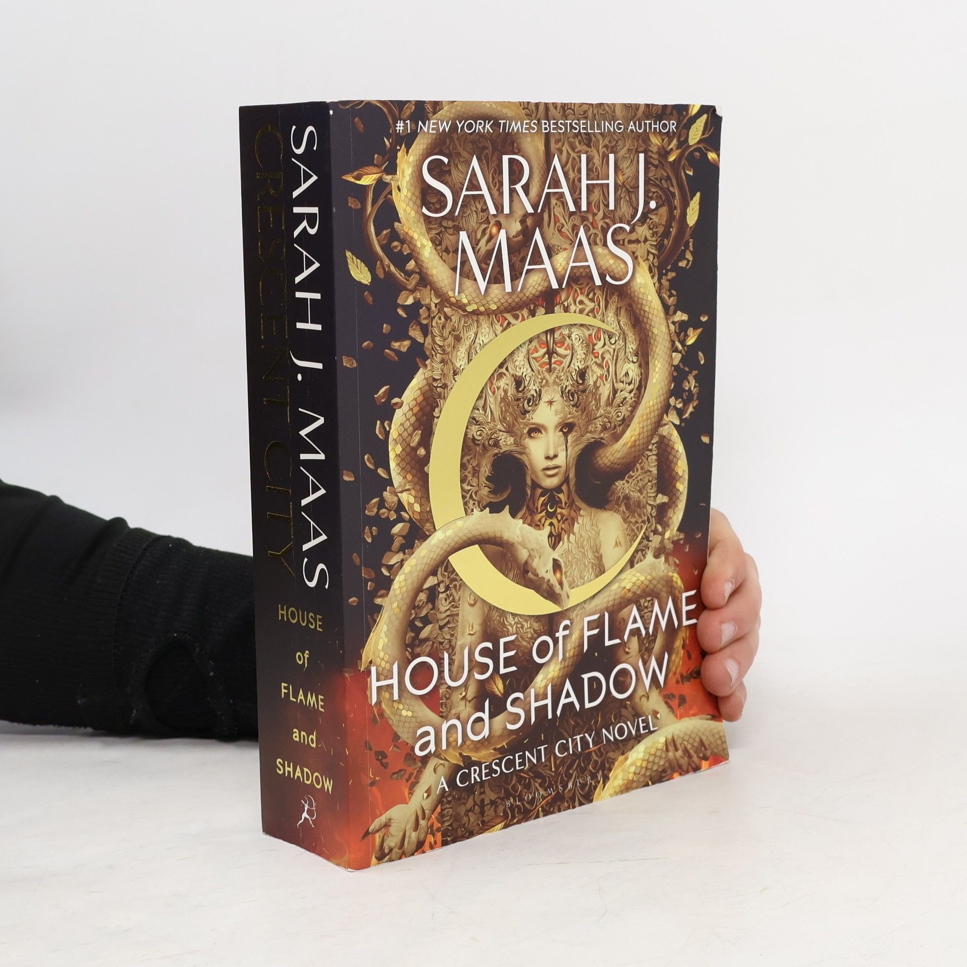 Sarah J. Maas House of Flame and Shadow