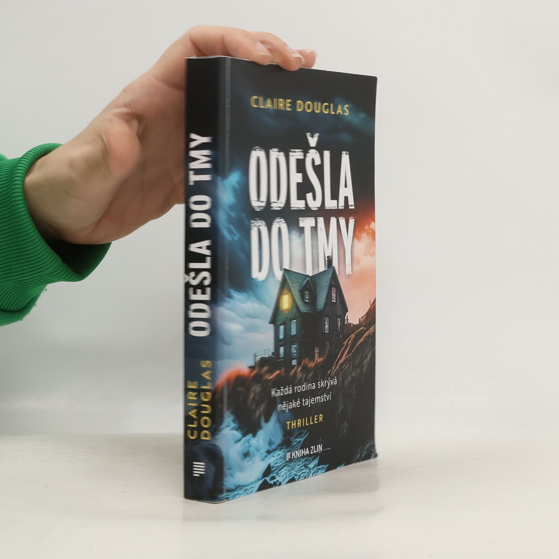 Claire Douglas Odešla do tmy