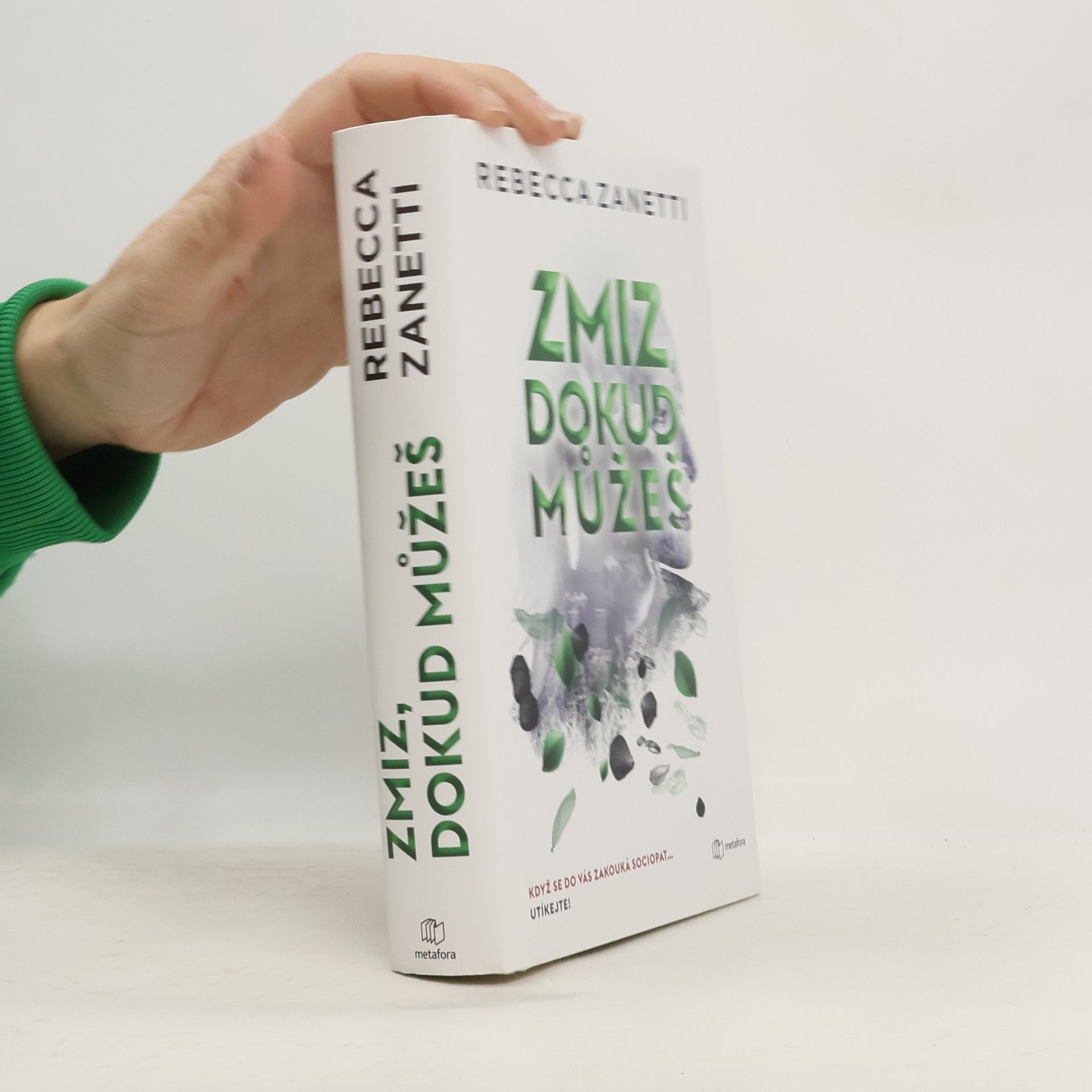 Rebecca Zanetti Zmiz, dokud můžeš