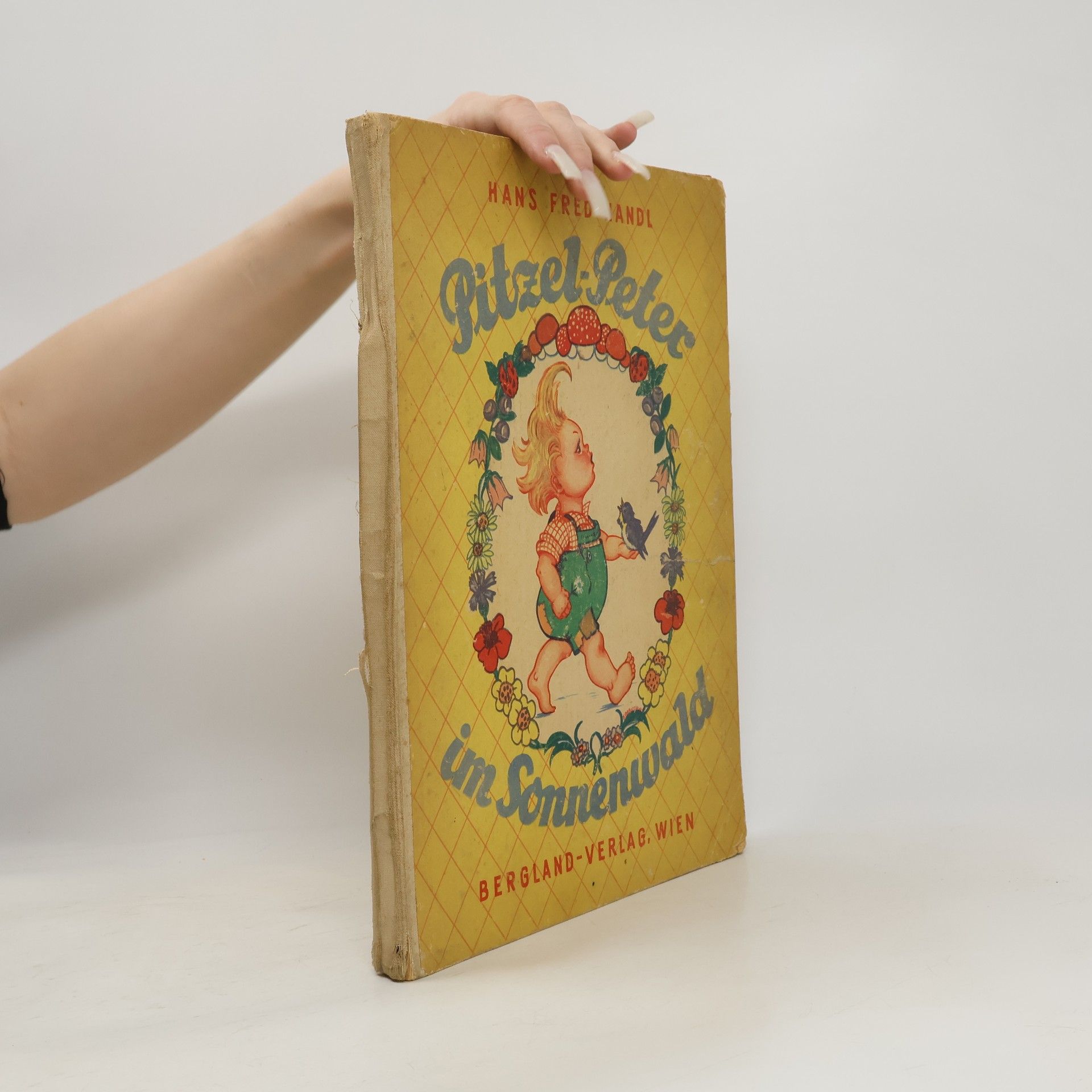 Hans Fred Handl Pitzel-Peter im Sonnenwald