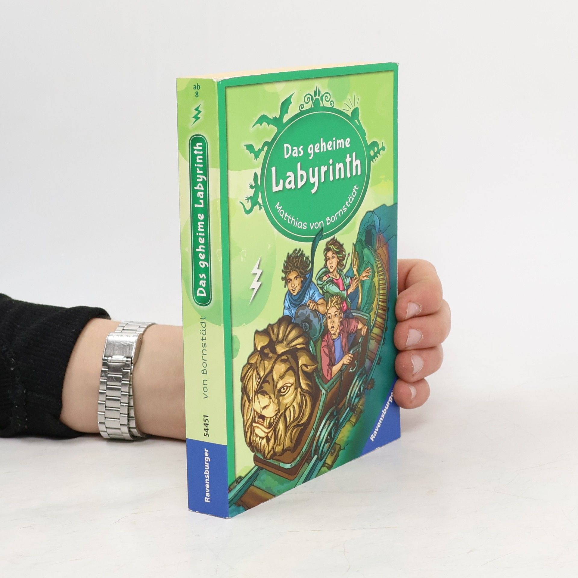 Matthias von Bornstädt Das geheime Labyrinth