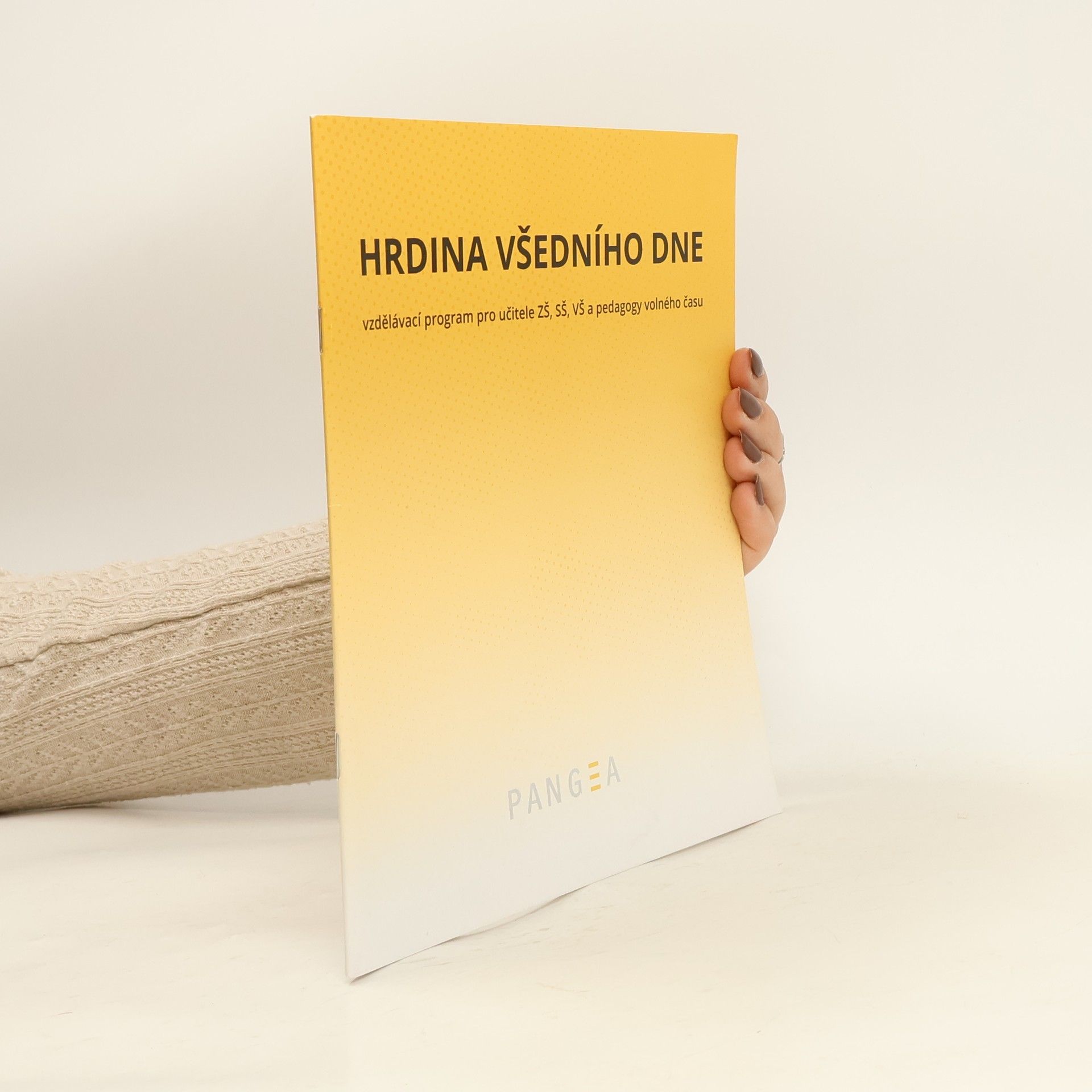 Hrdina všedního dne