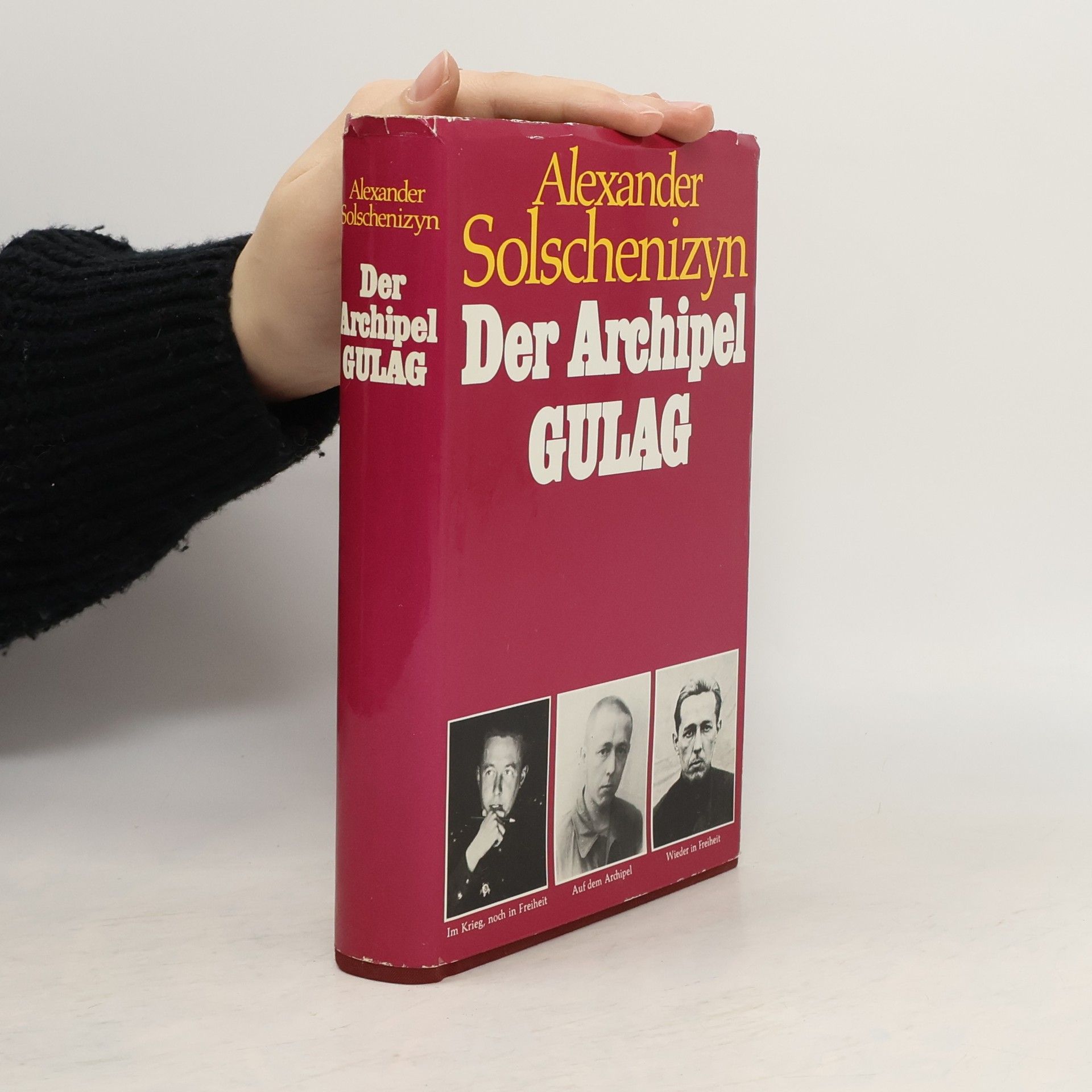 Aleksandr Solzhenitsyn Der Archipel Gulag