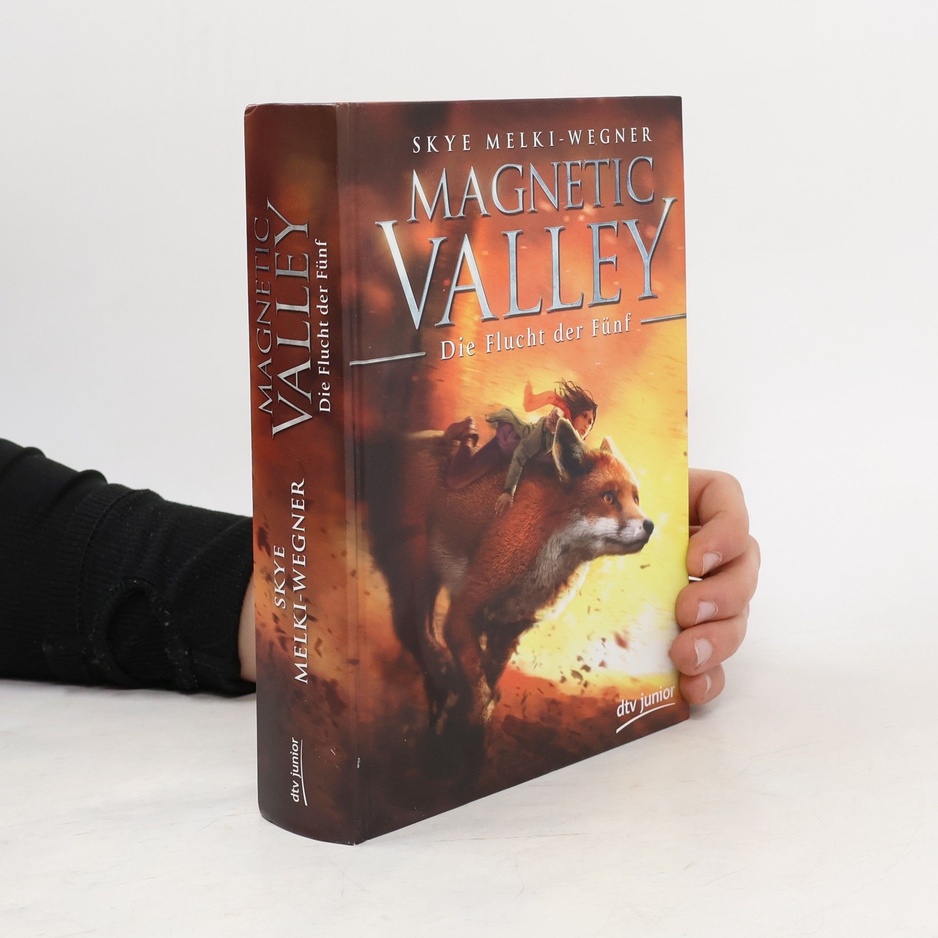 Magnetic Valley - Die Flucht der Fünf