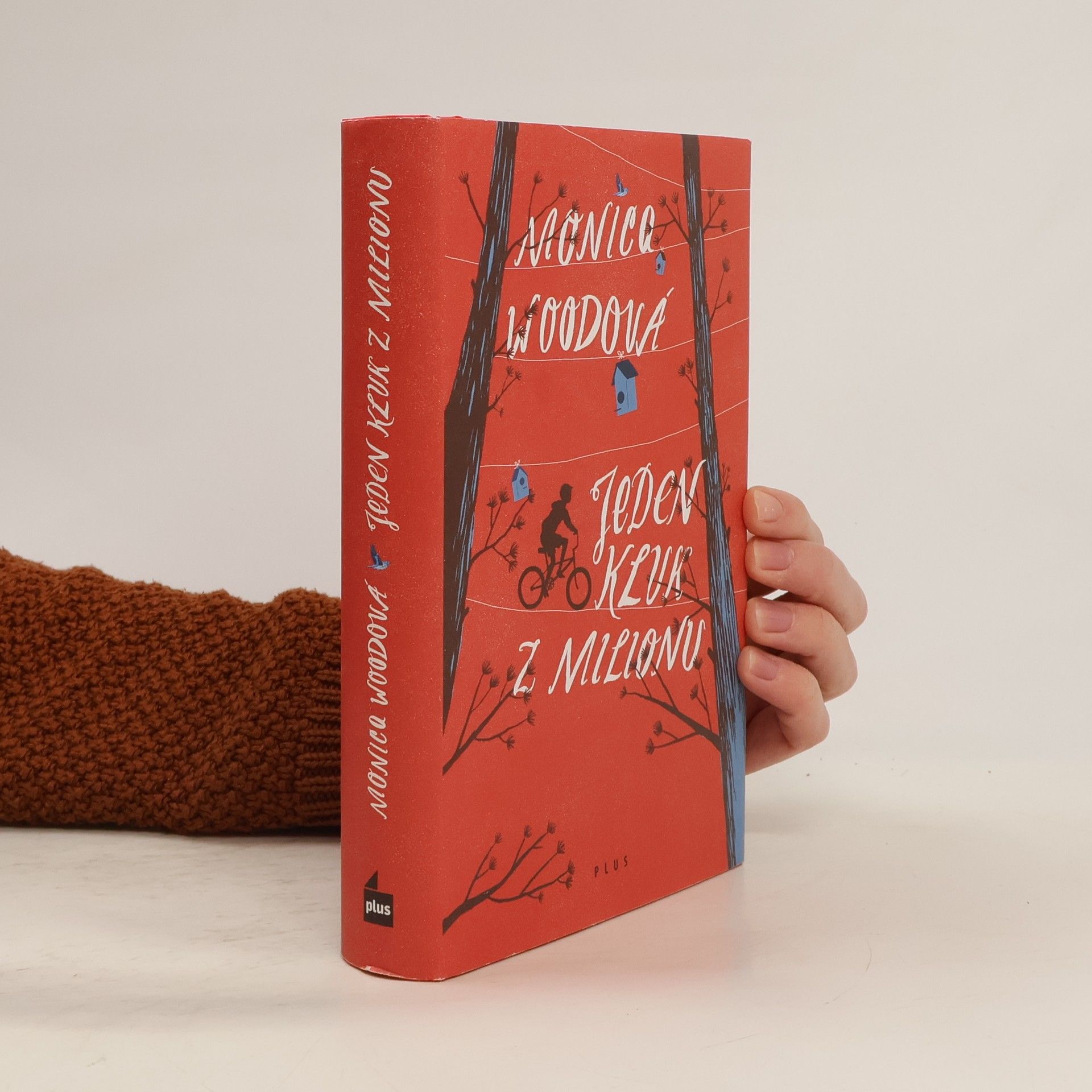 Monica Wood Jeden kluk z milionu