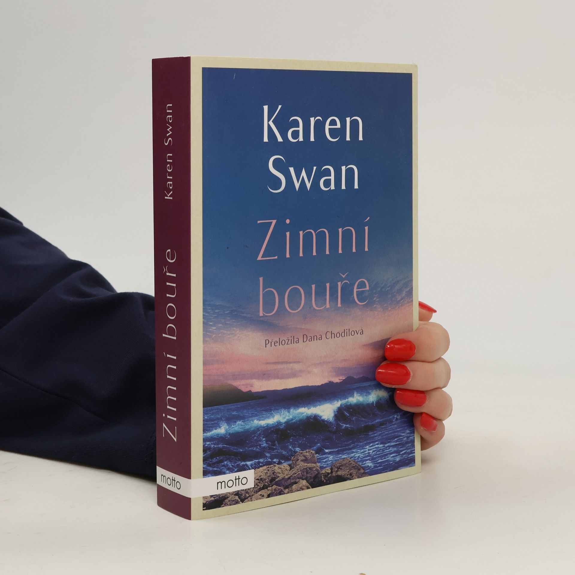 Dana Chodilová Zimní bouře