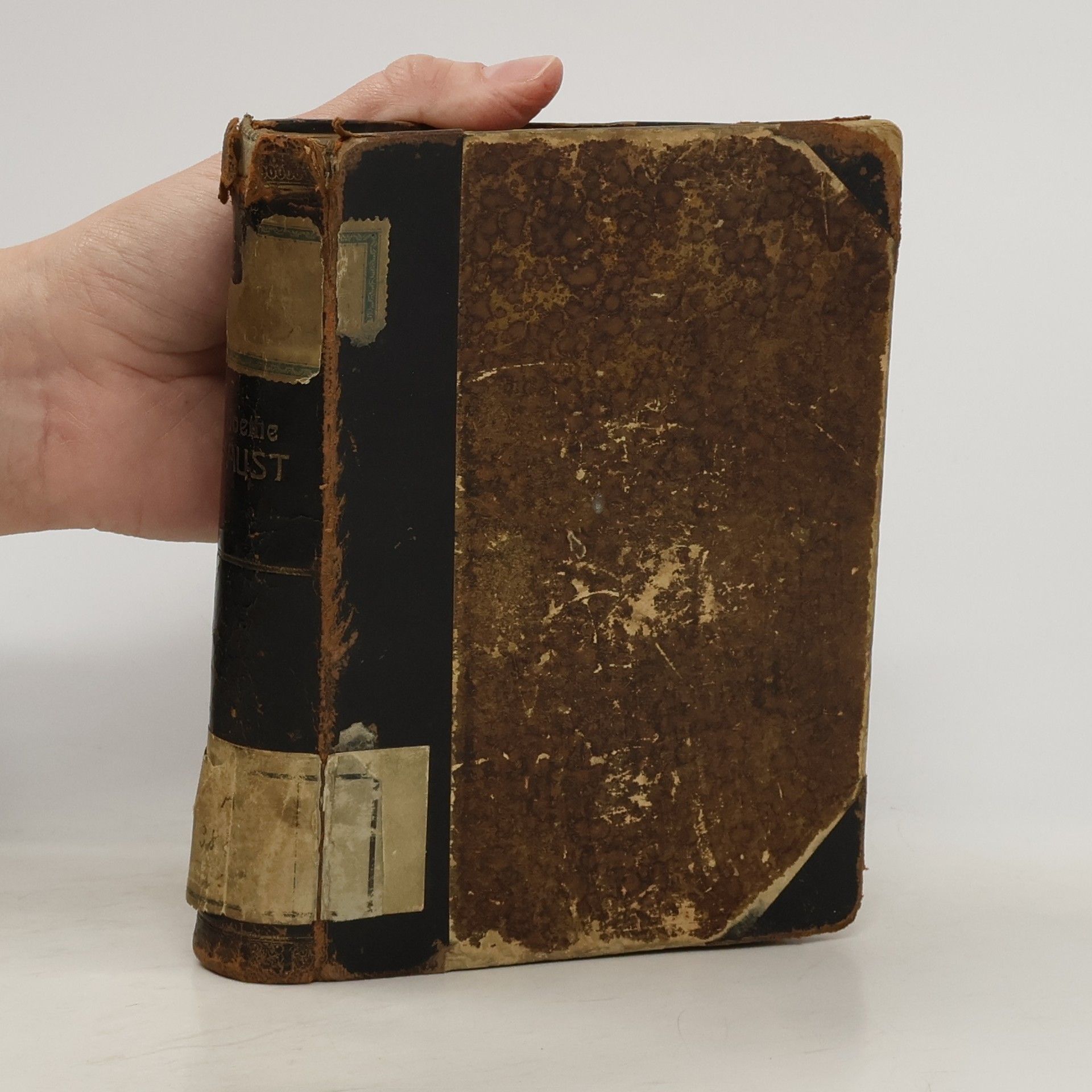 Johann Wolfgang von Goethe Faust