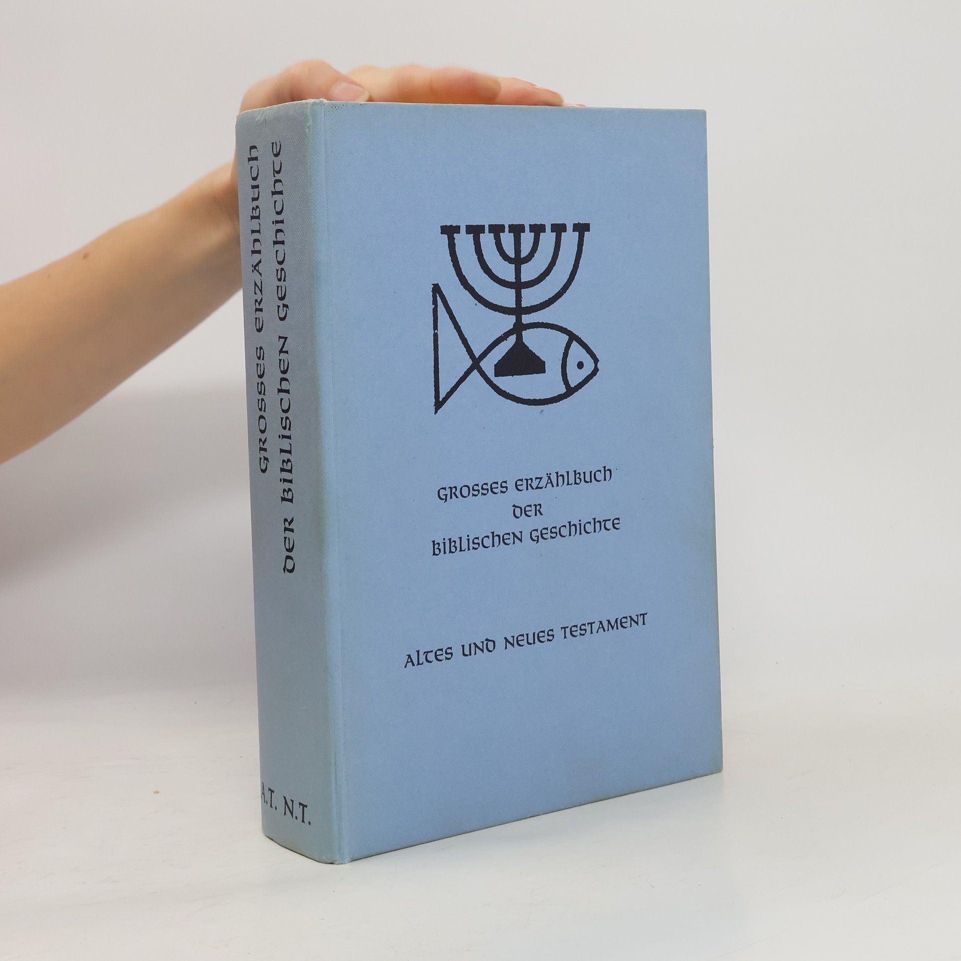 Grosses Erzählbuch der biblischen Geschichte