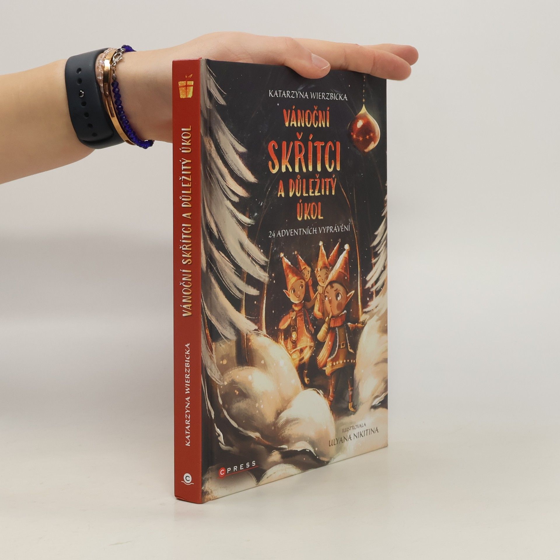 Wierzbicka Katarzyna Vánoční skřítci a důležitý úkol