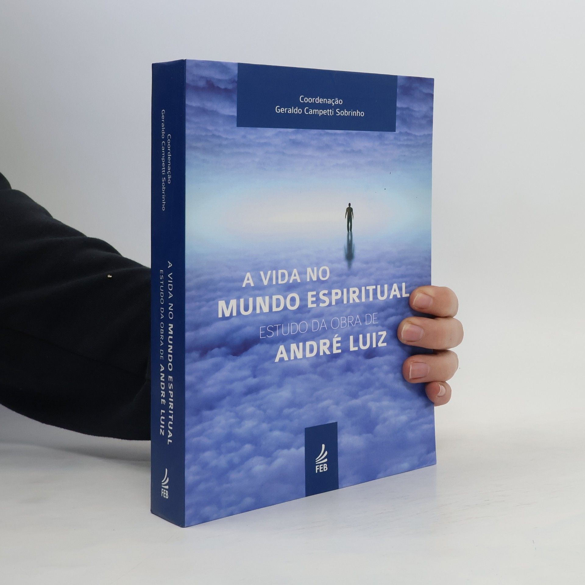 Geraldo Campetti Sobrinho A Vida no Mundo Espiritual