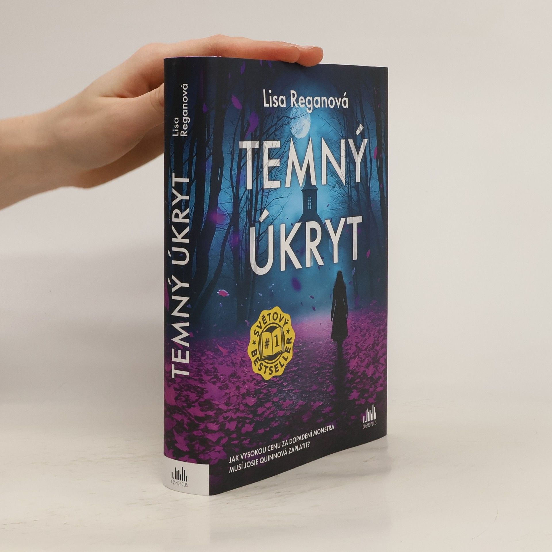 Lisa Regan Temný úkryt