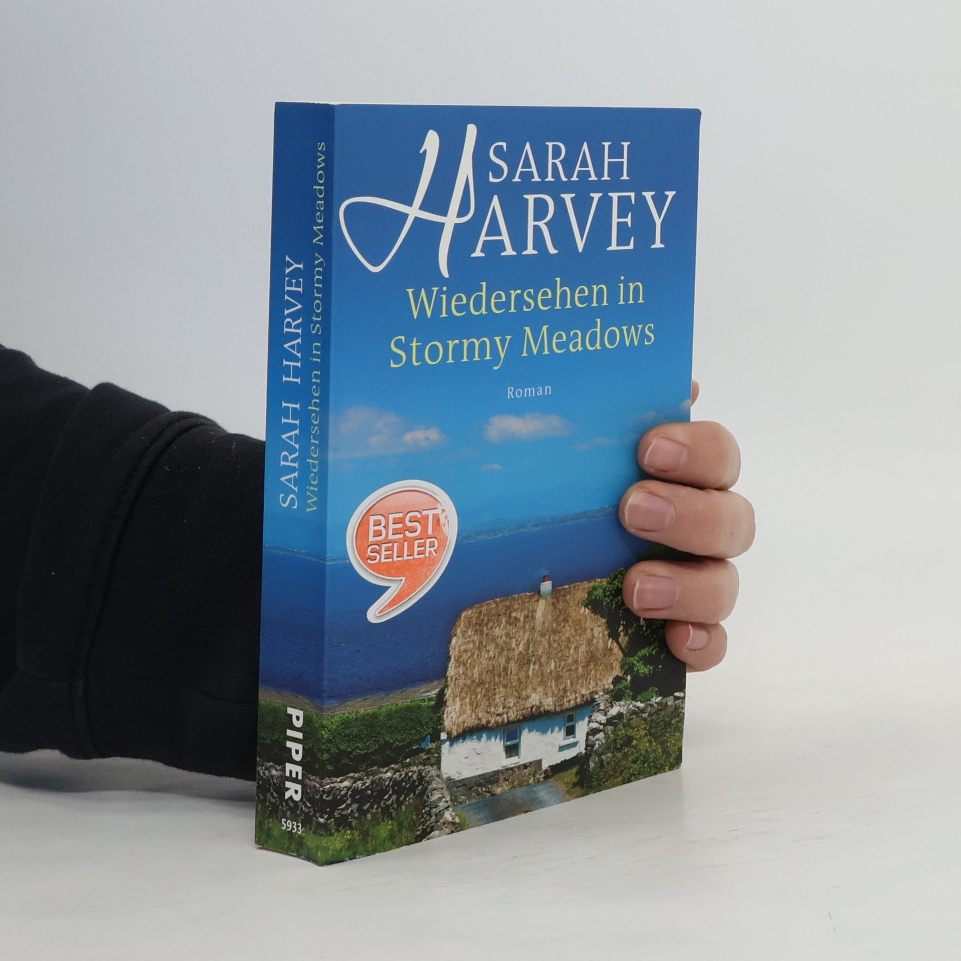 Wiedersehen in Stormy Meadows