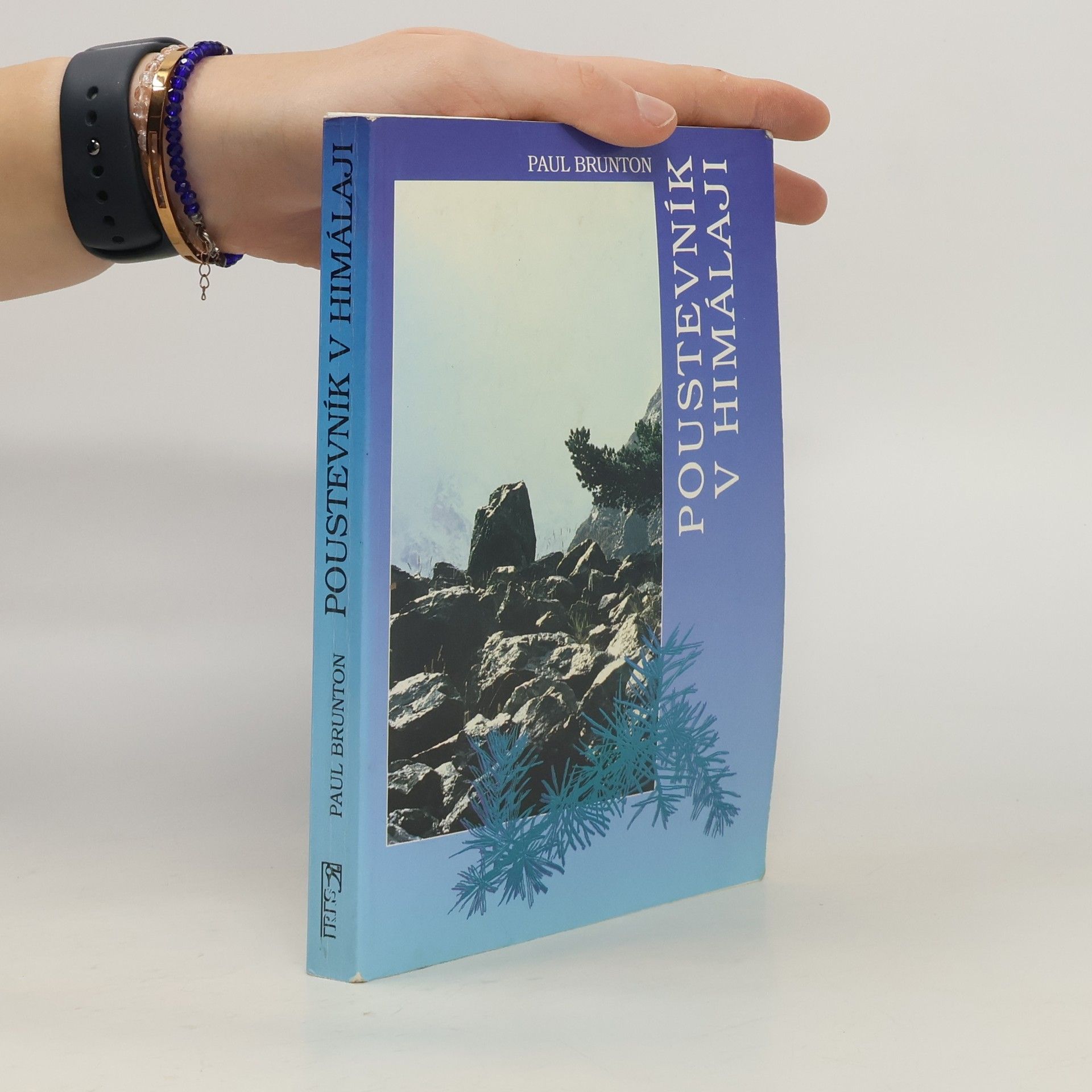 Paul Brunton Poustevník v Himálaji