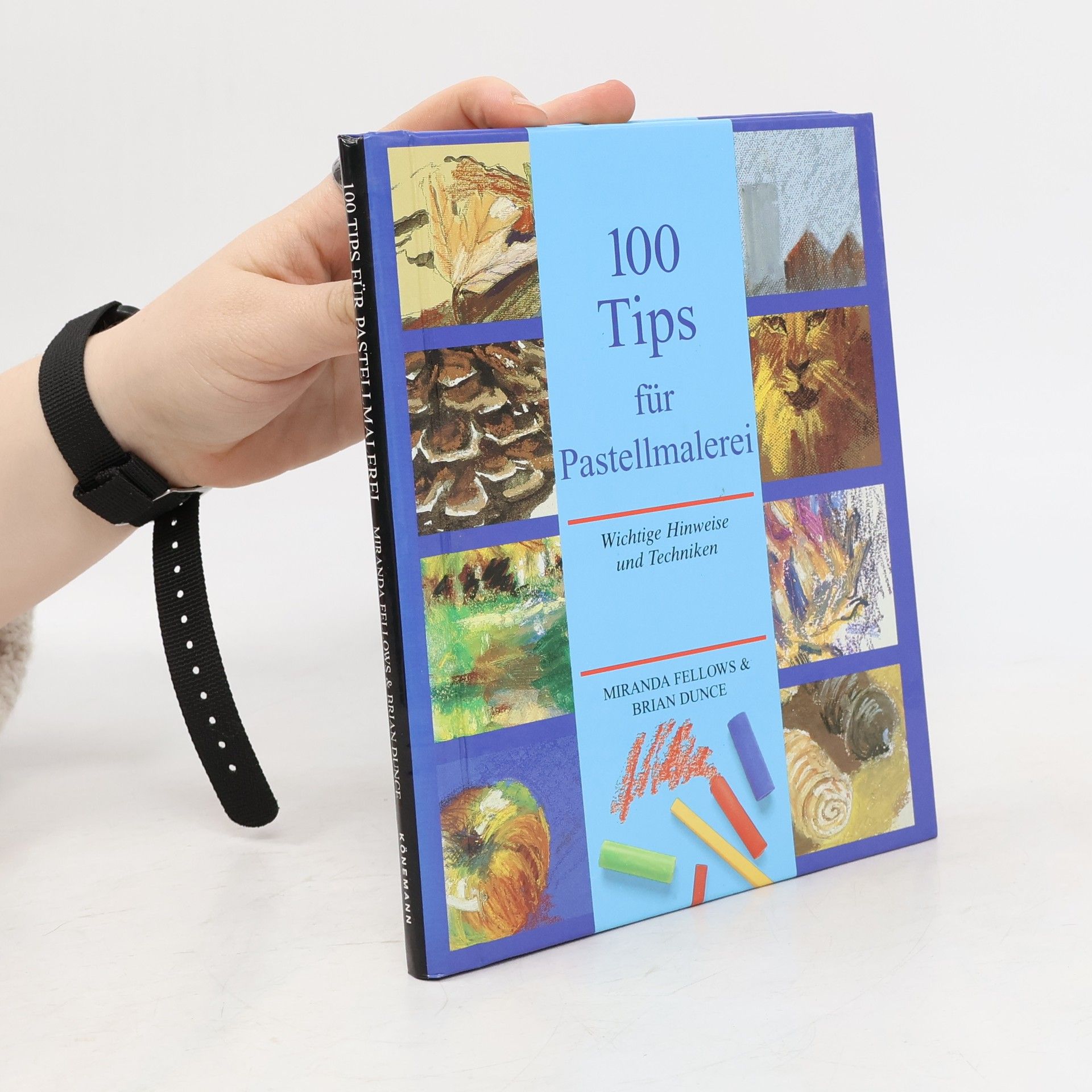 100 Tips für Pastellmalerei