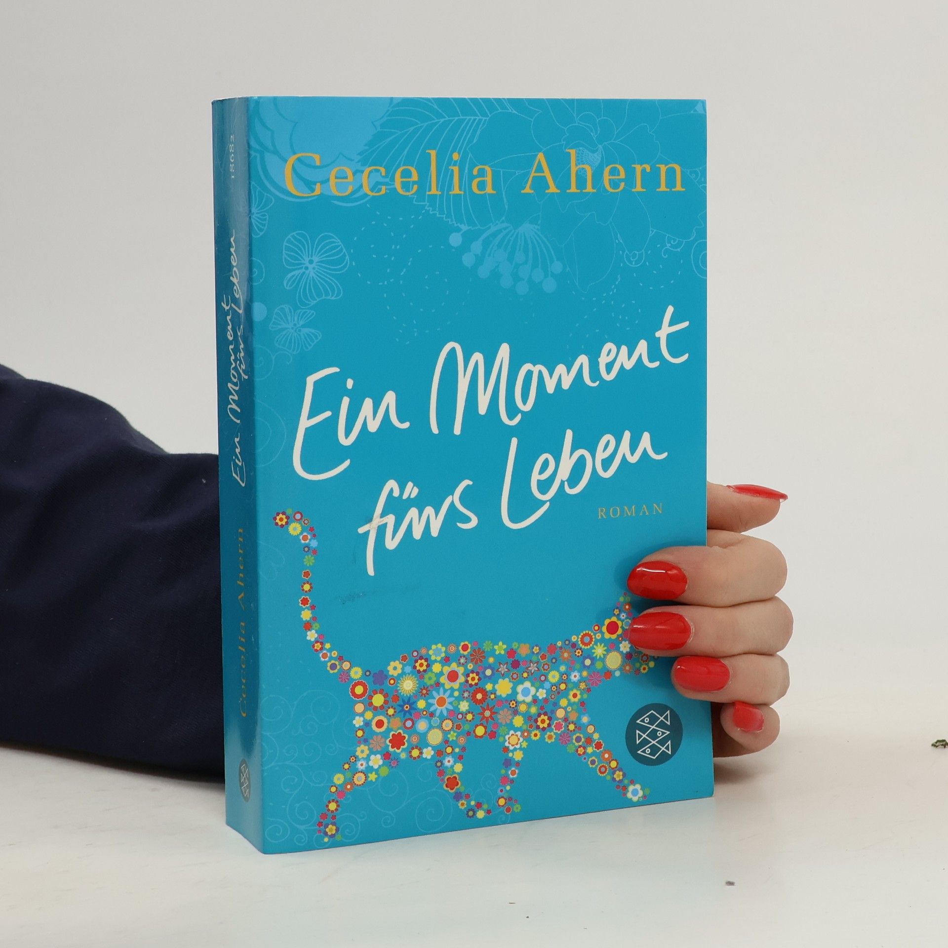 Cecelia Ahern Ein Moment fürs Leben