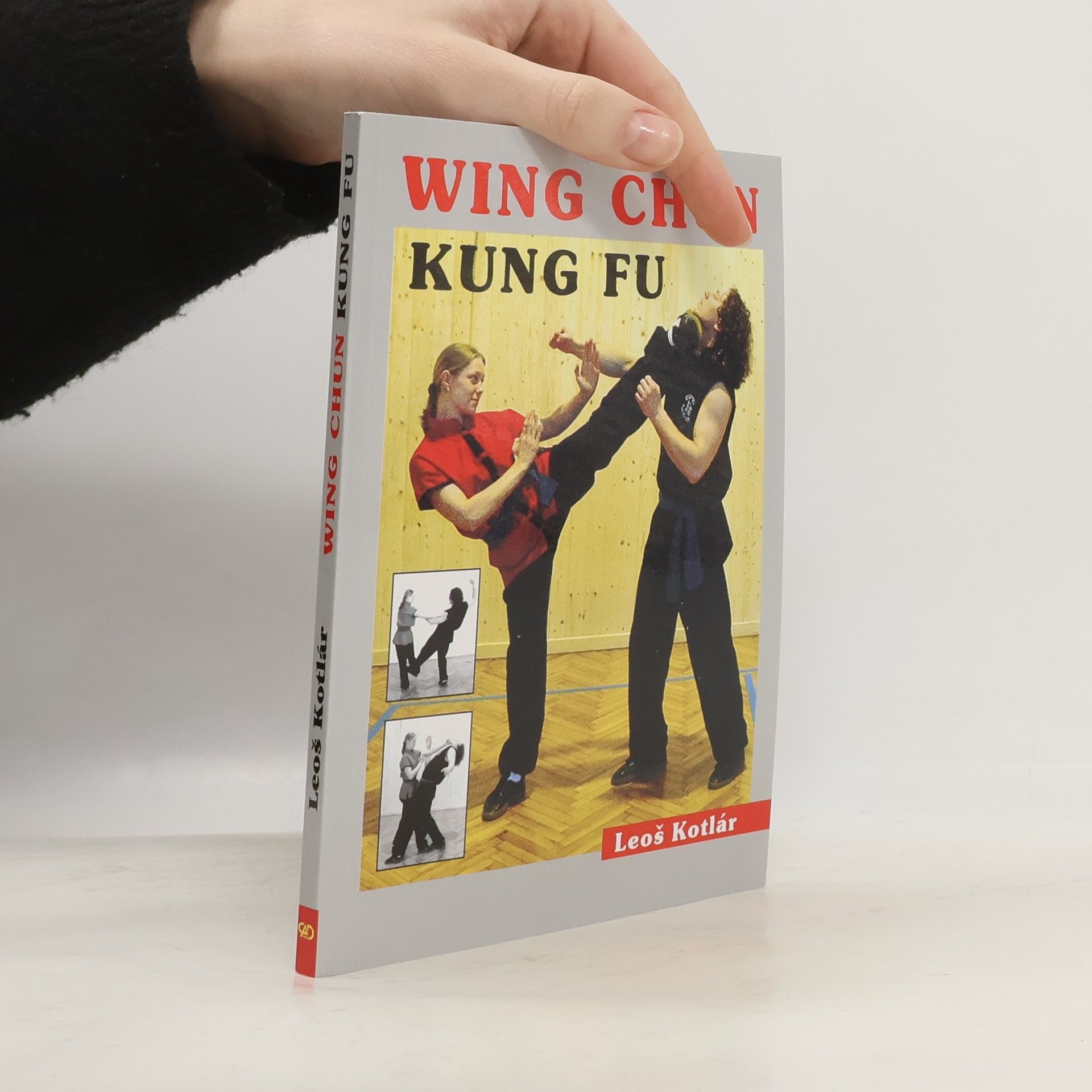 Wing chun. Kung fu. Metodická příručka