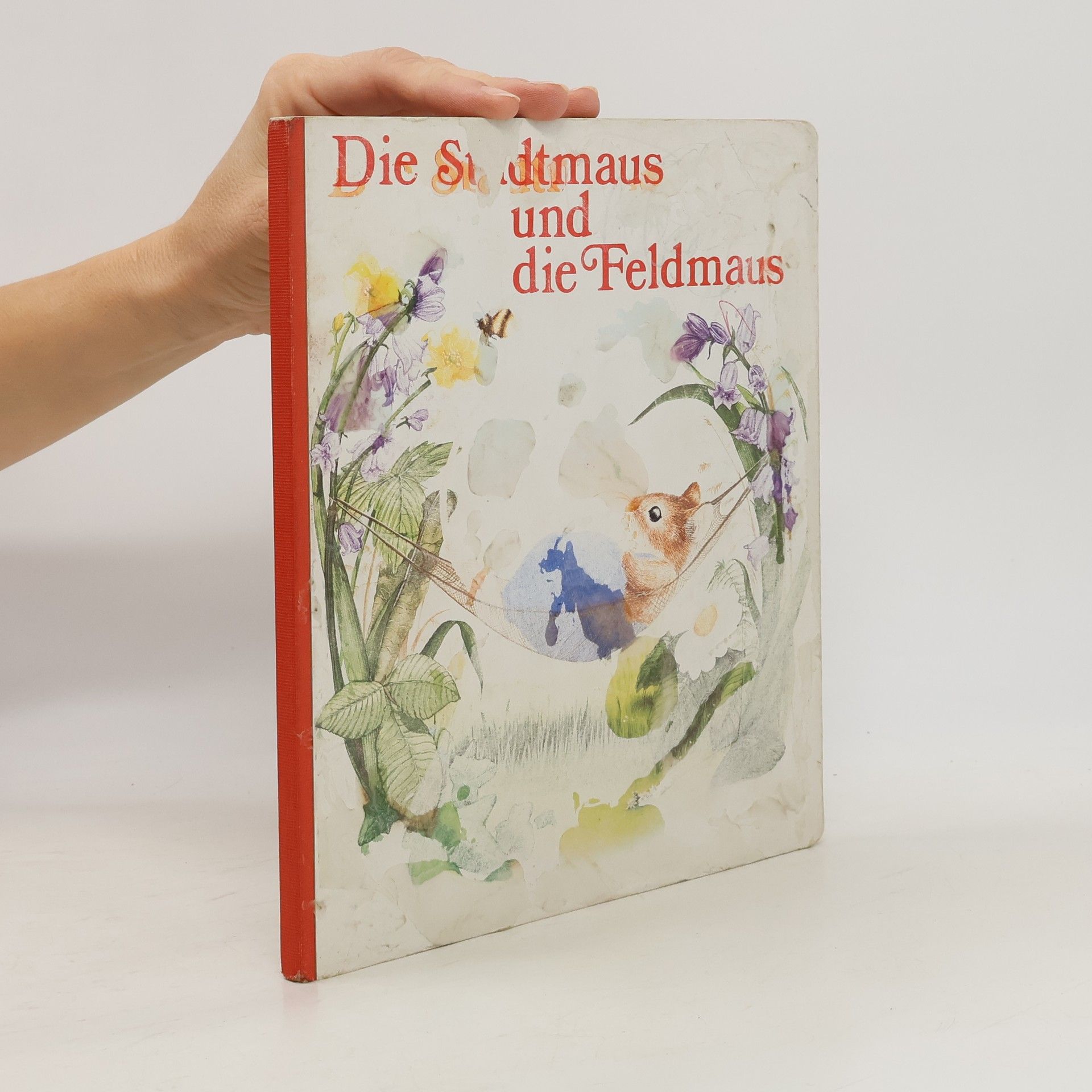 Autorenkollektiv Die Stadtmaus und die Feldmaus