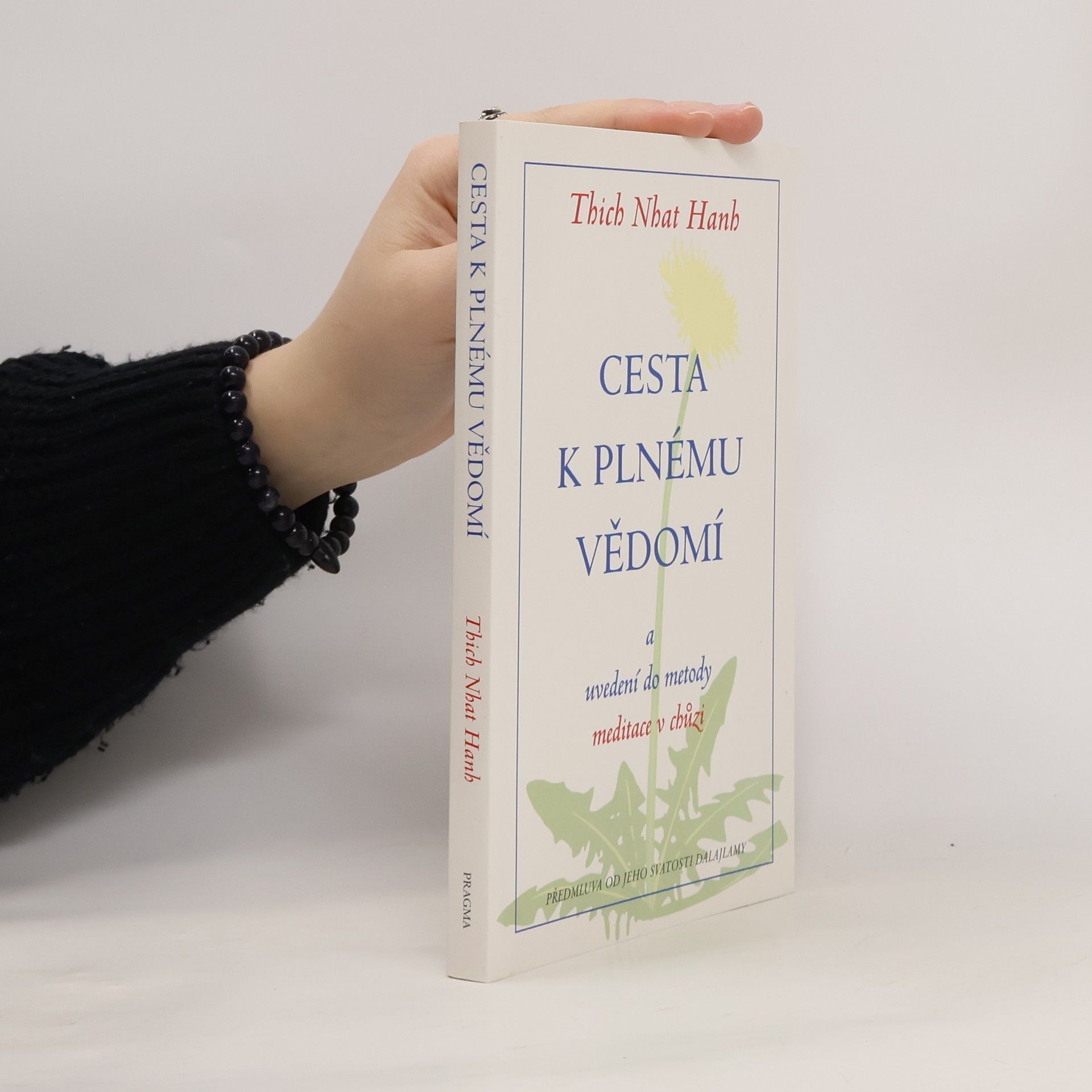 Otto Jeřábek Cesta k plnému vědomí a uvedení do metody meditace v chůzi