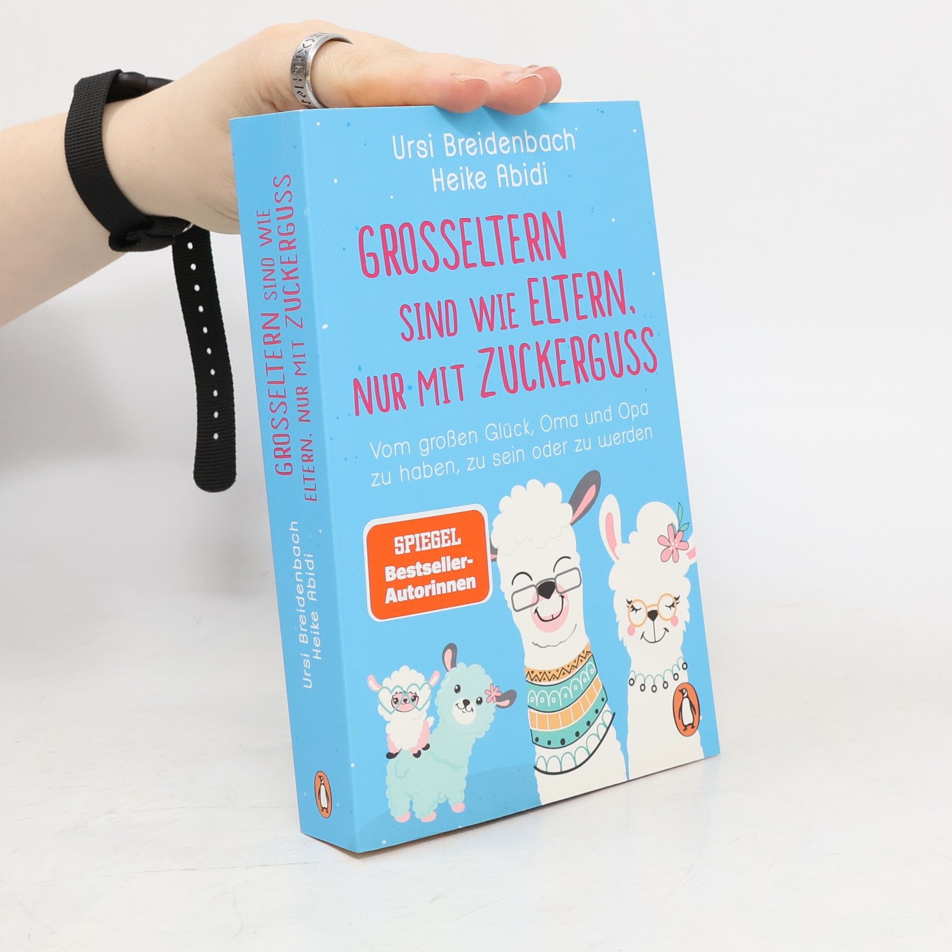 Heike Abidi Großeltern sind wie Eltern, nur mit Zuckerguss