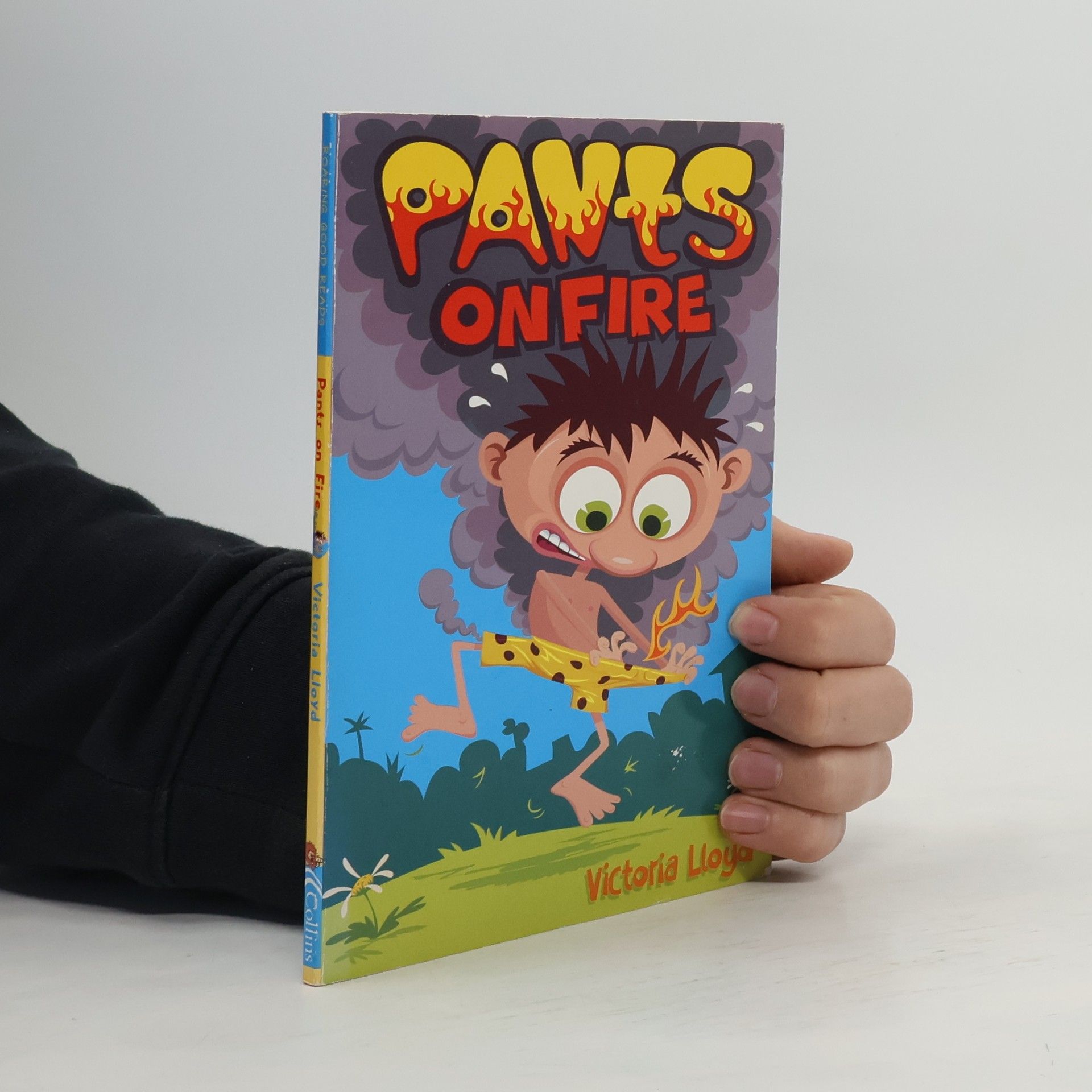 Scott Walker Pants on Fire