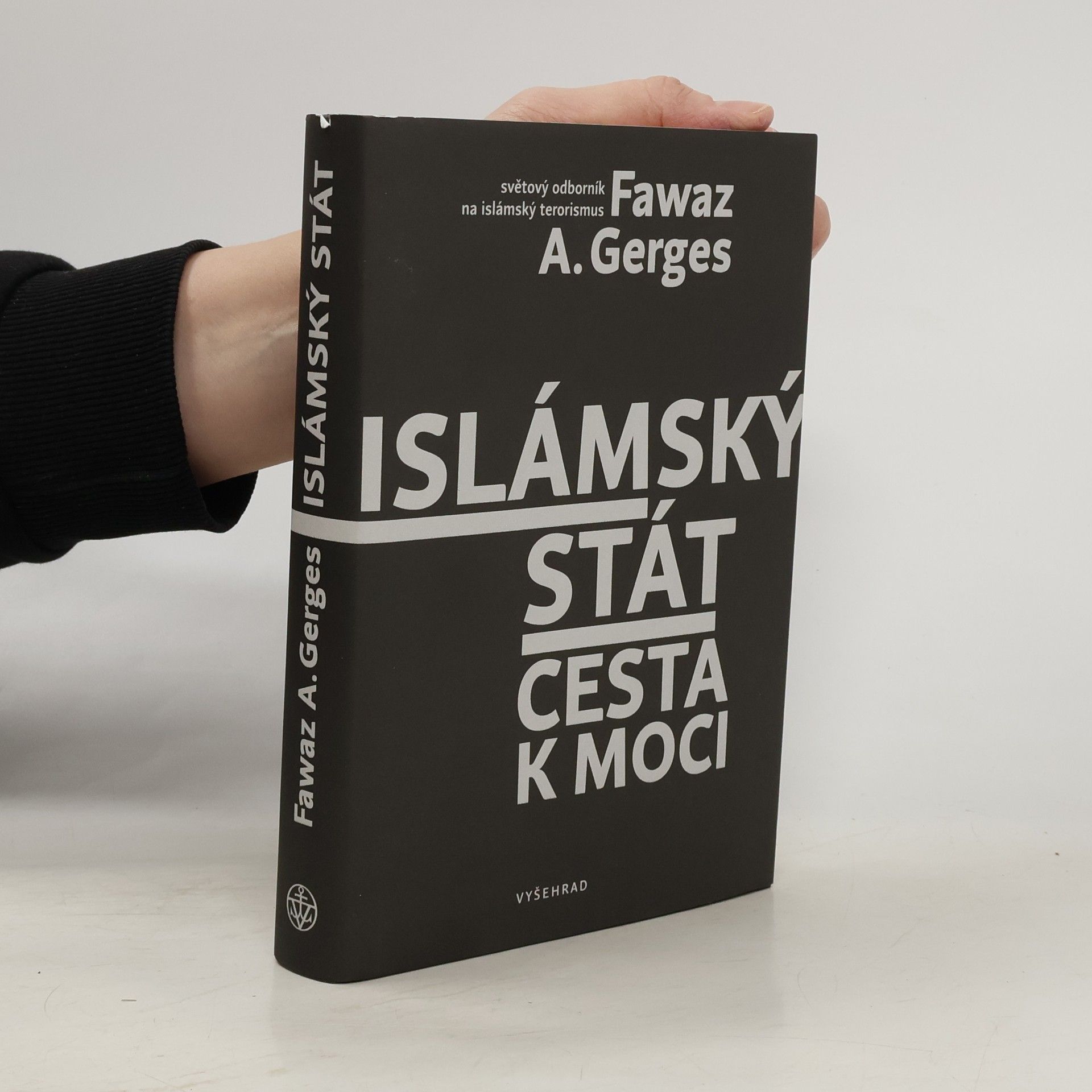 Islámský stát : cesta k moci