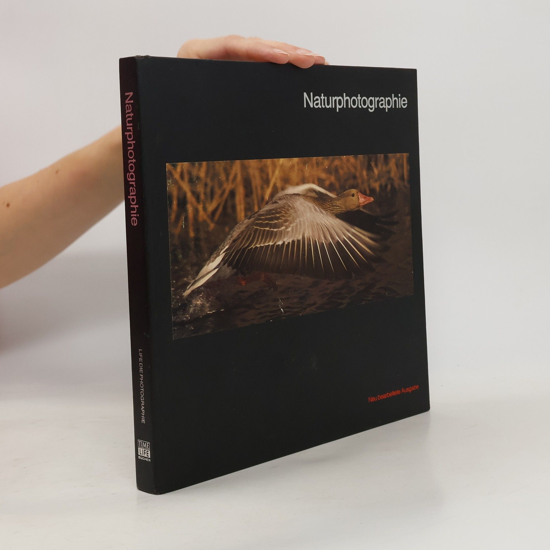 Collectif d'auteurs Naturphotographie