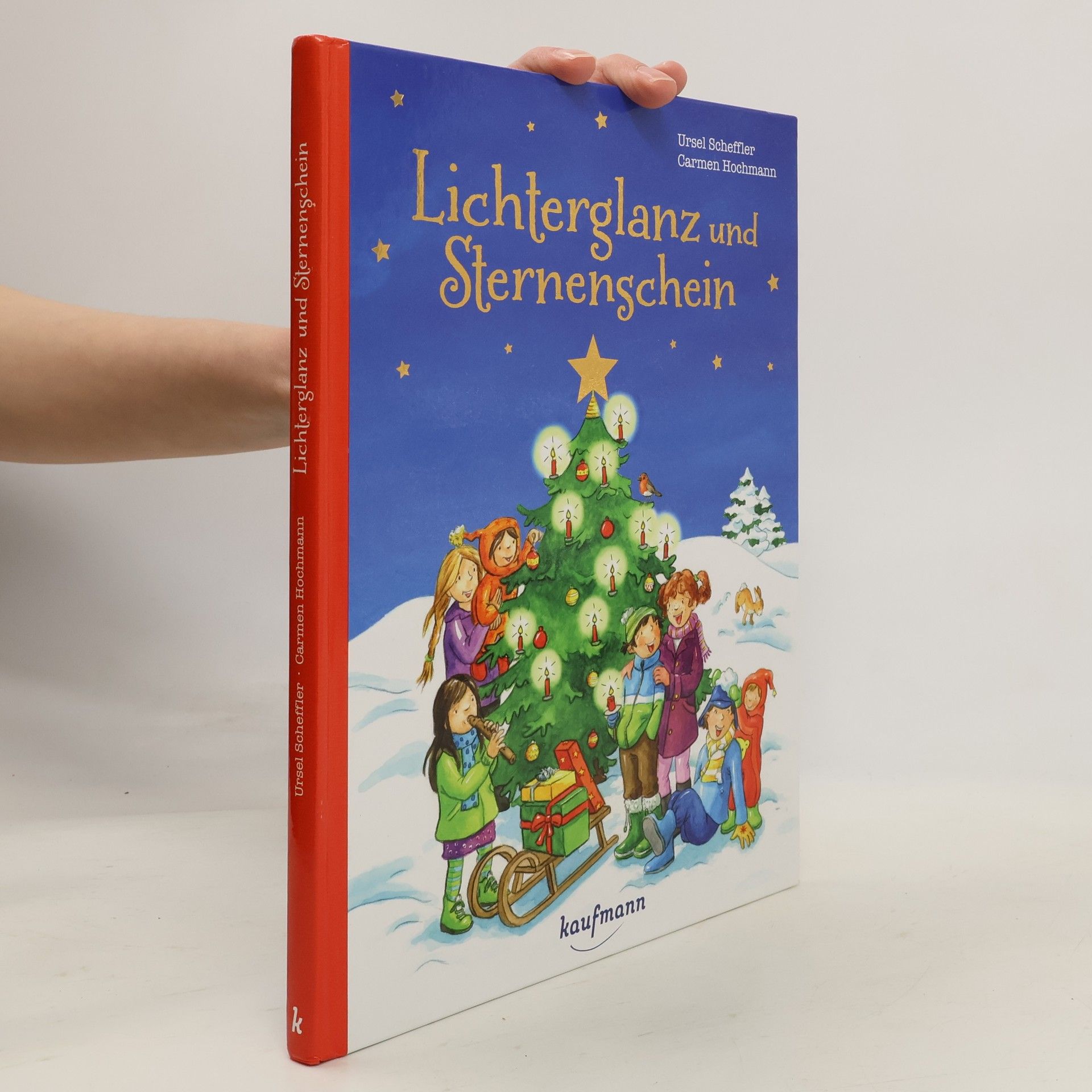 Ursel Scheffler Lichterglanz und Sternenschein