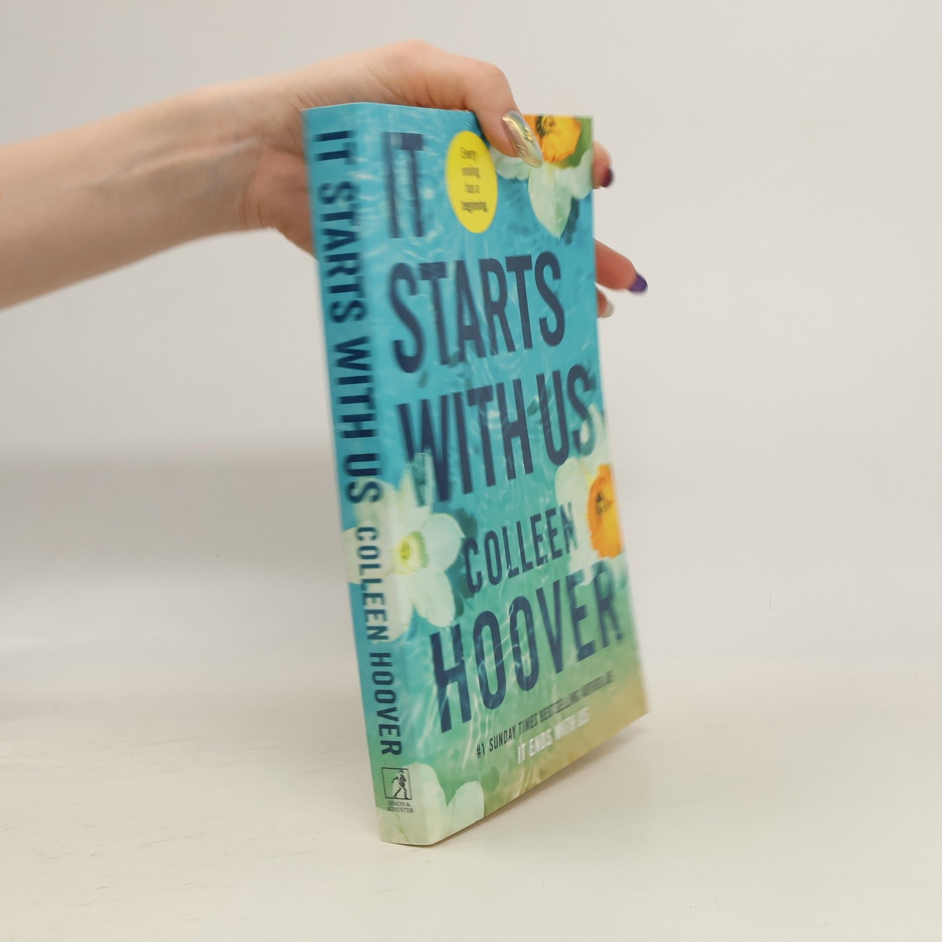 Colleen Hoover It Starts With Us