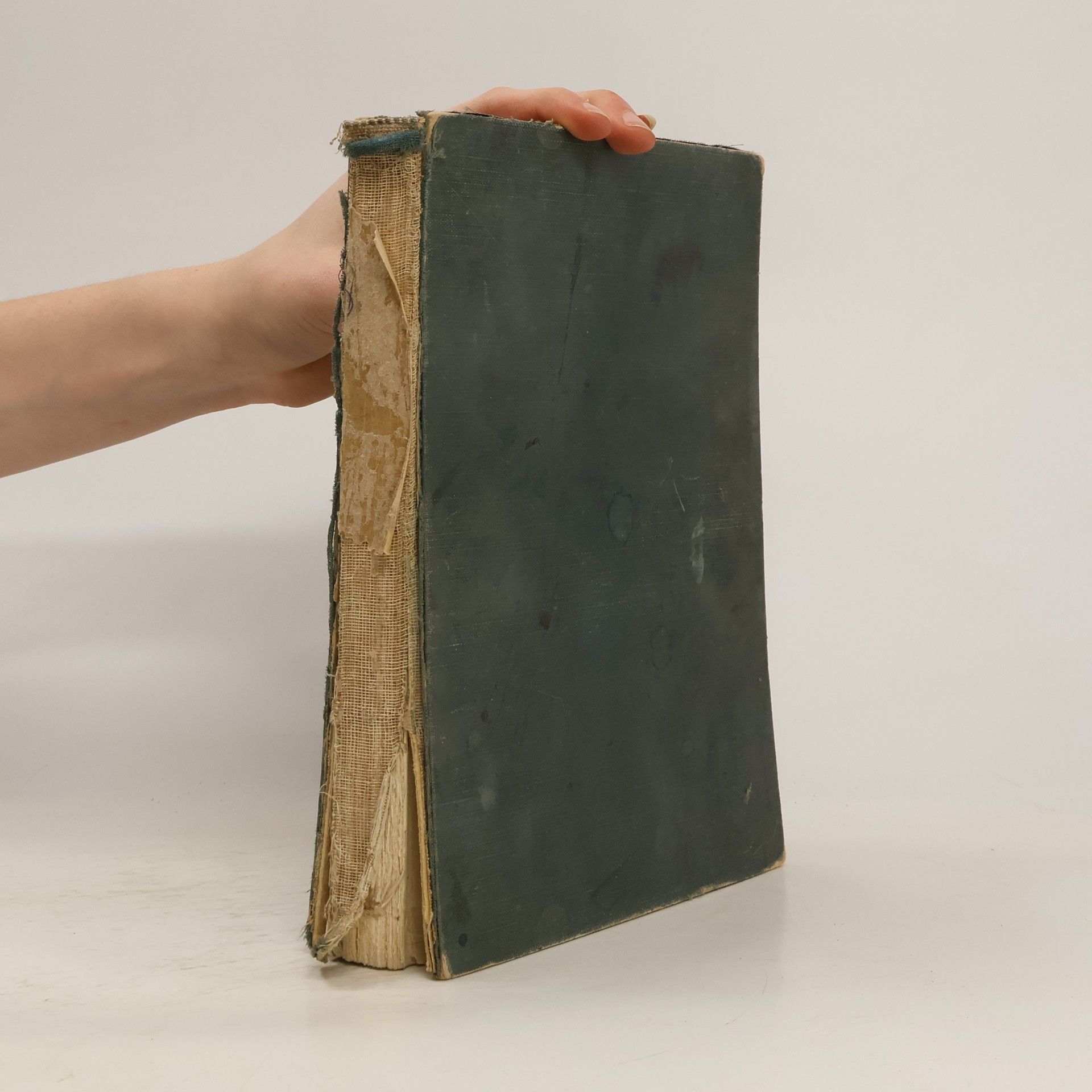 Collectif d'auteurs Malý čtenář