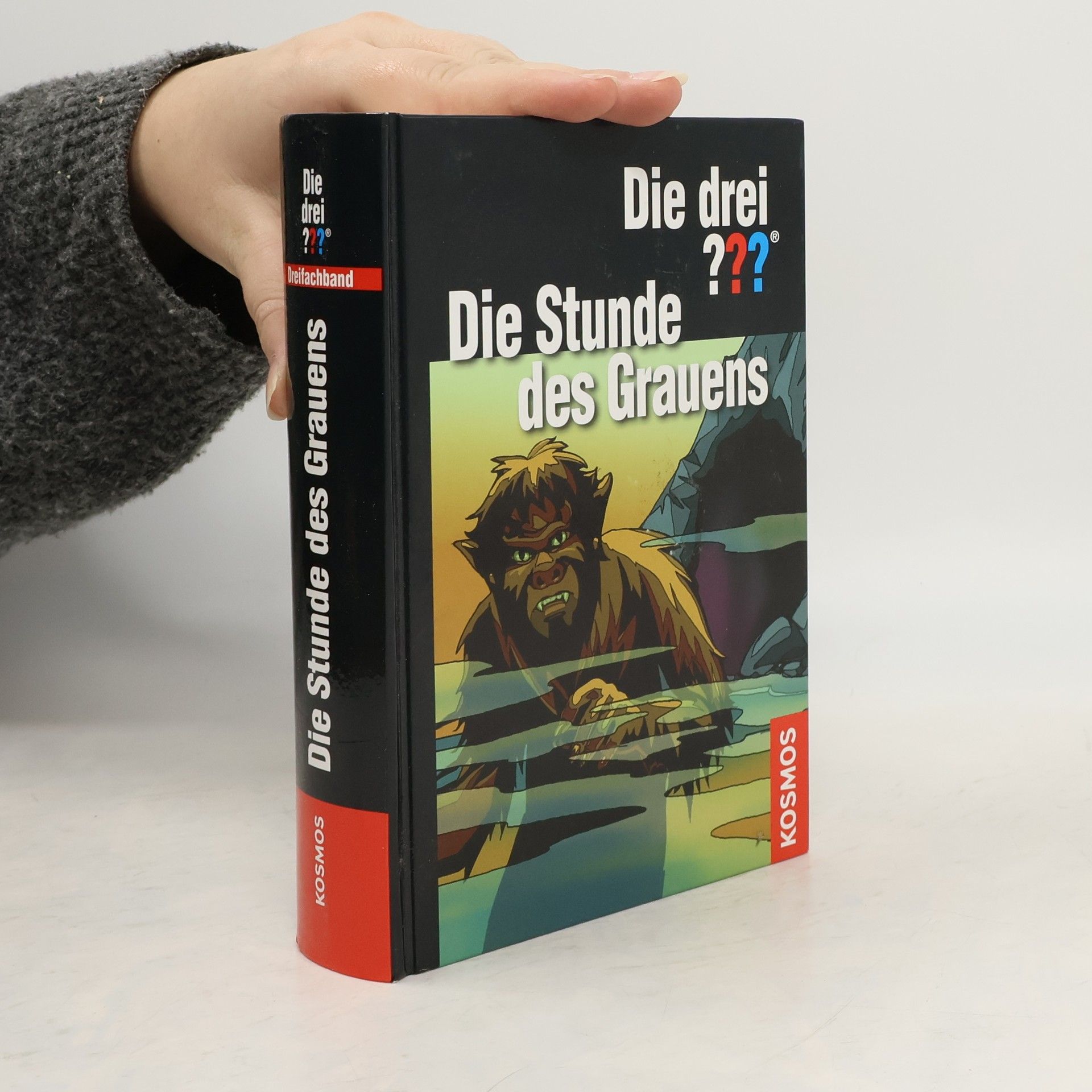 Die drei ??? Die Stunde des Grauens (+ CD Schwarze Madonna)