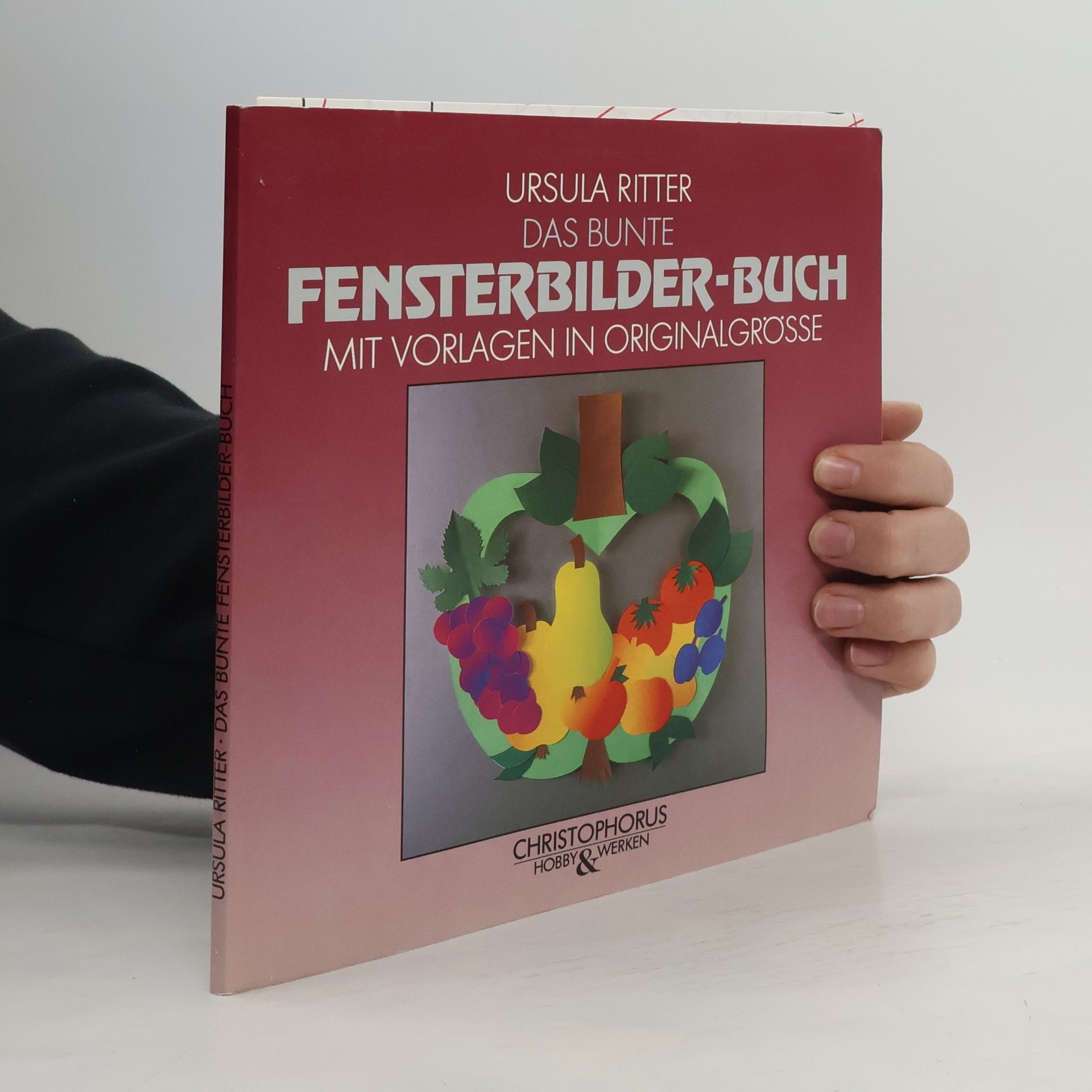 Autorenkollektiv Das bunte Fensterbilder-Buch