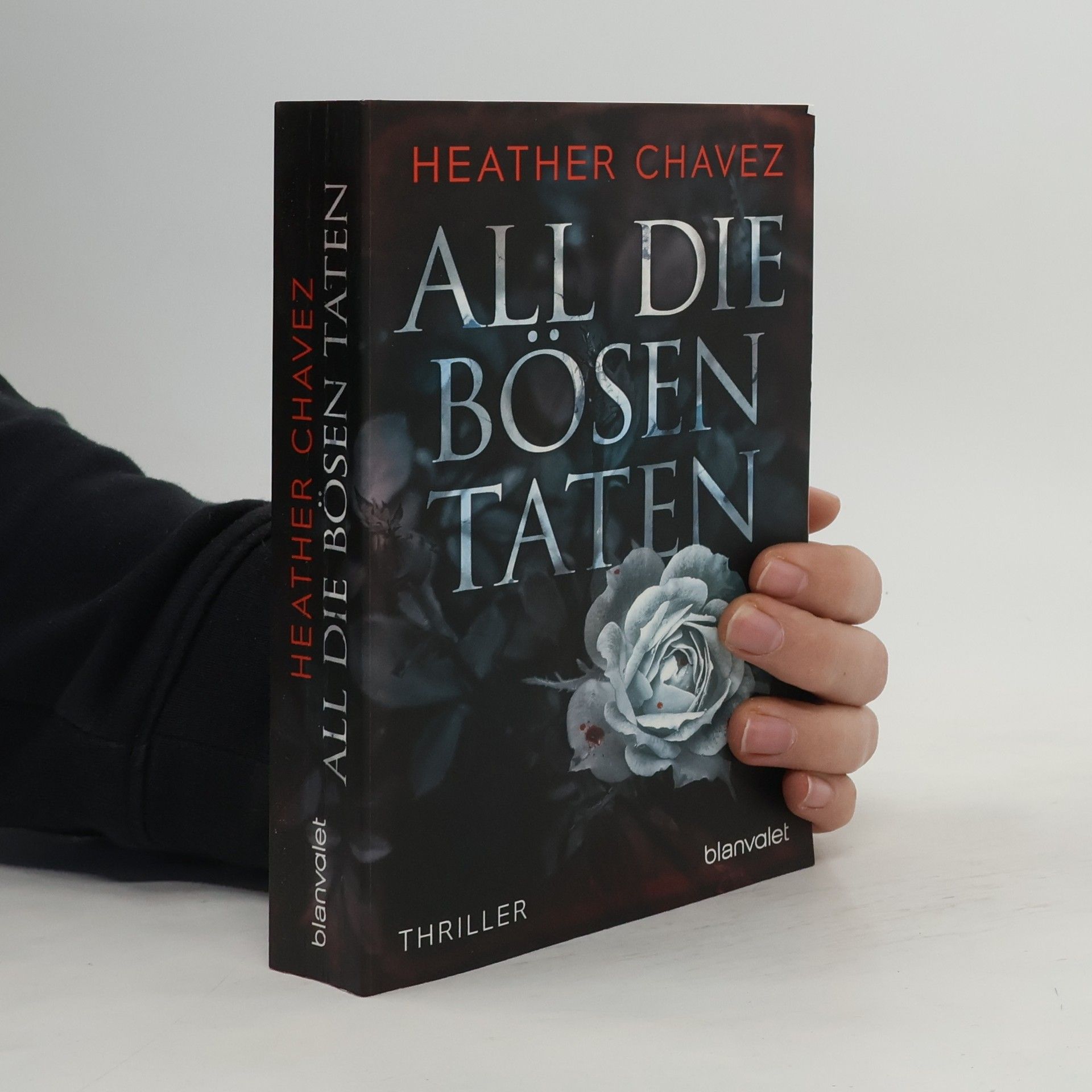 Heather Chavez All die bösen Taten