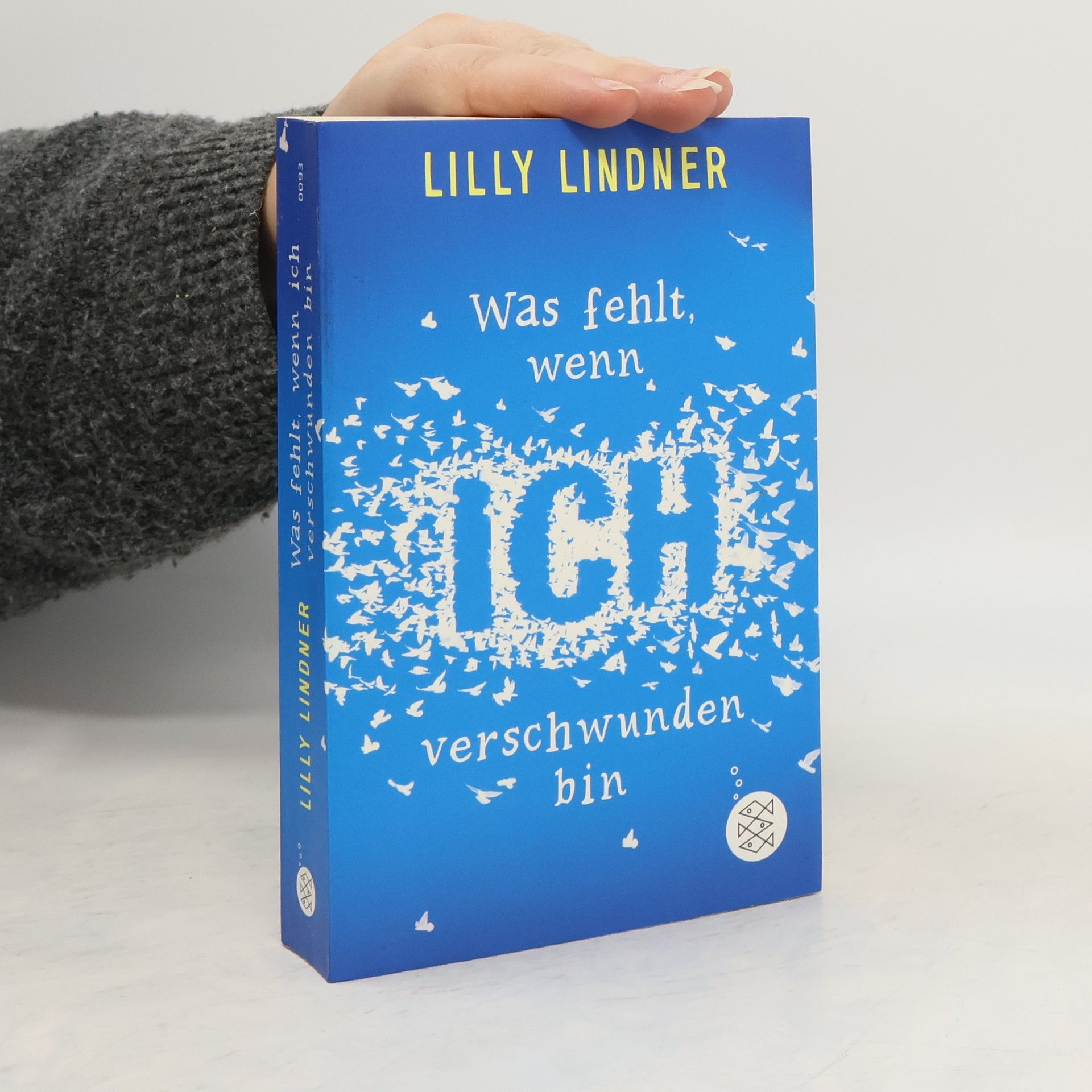 Lilly Lindner Was fehlt, wenn ich verschwunden bin