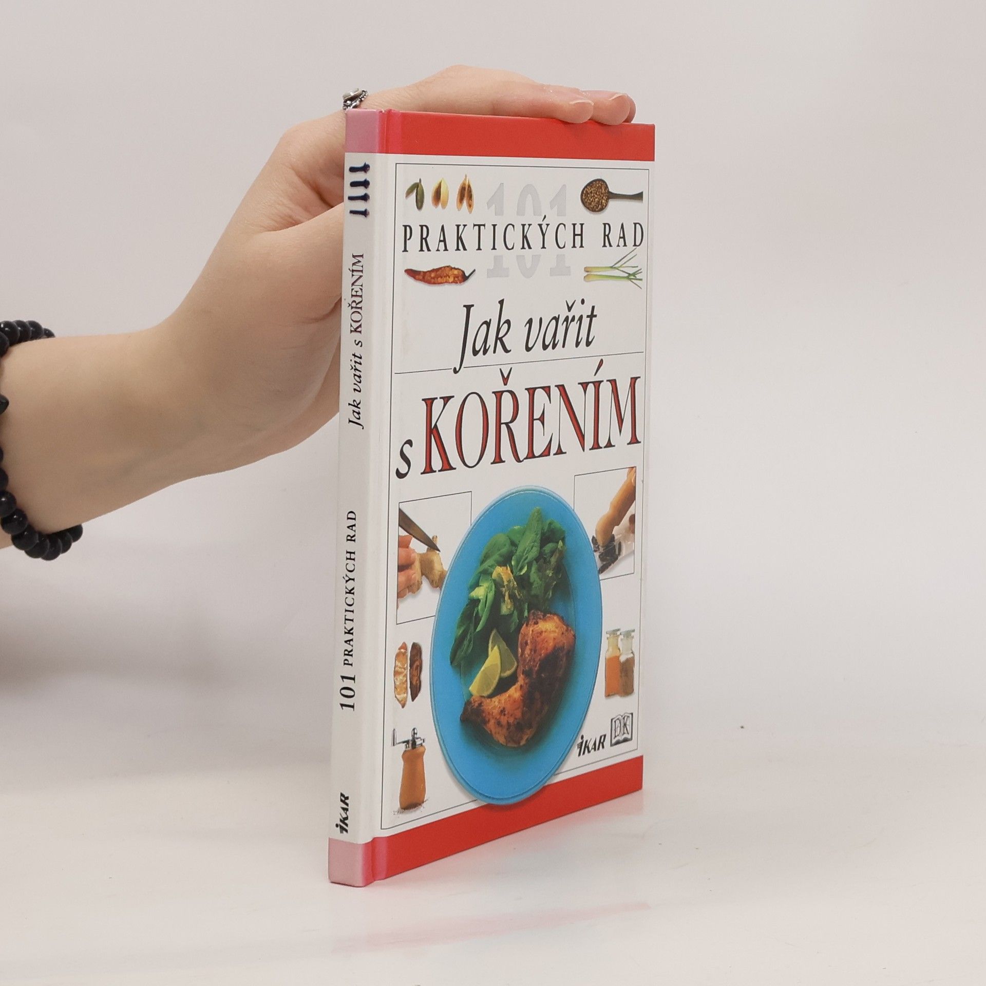 Jill Norman Jak vařit s kořením