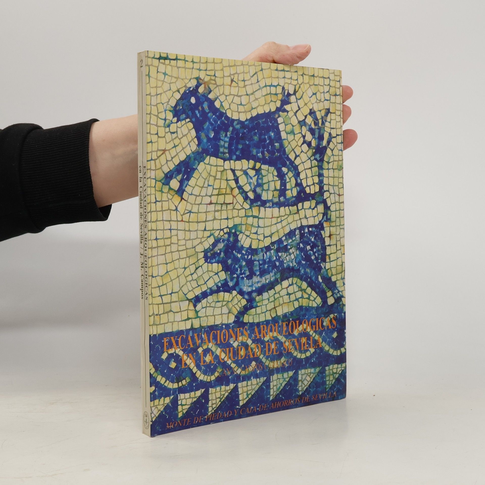 Juan M. Campos Carrasco Excavaciones arqueológicas en la ciudad de Sevilla