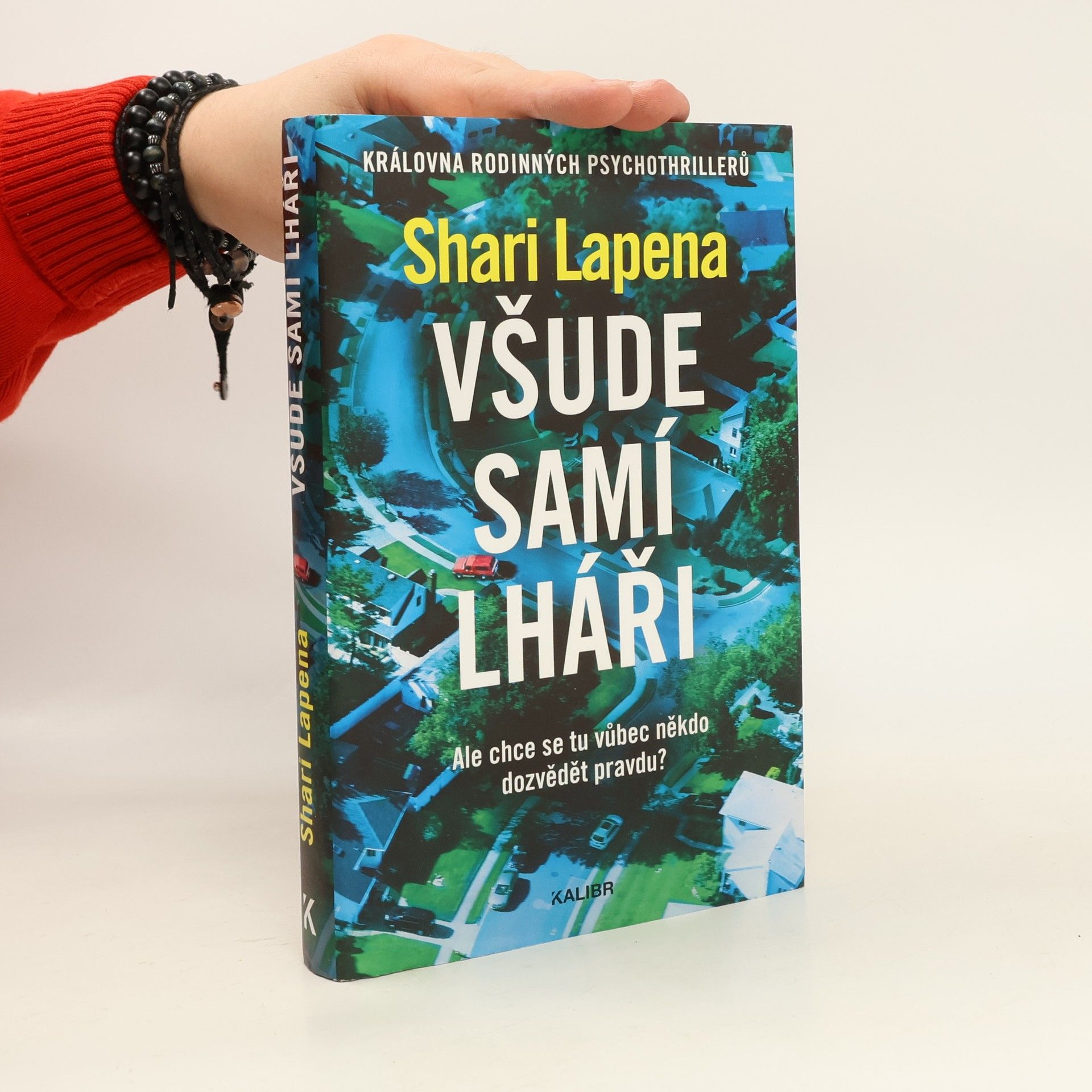 Všude samí lháři