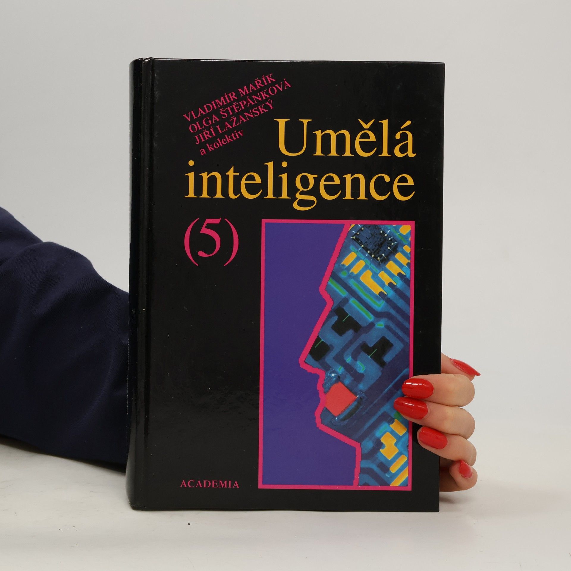 Vladimír Mařík Umělá inteligence (5)
