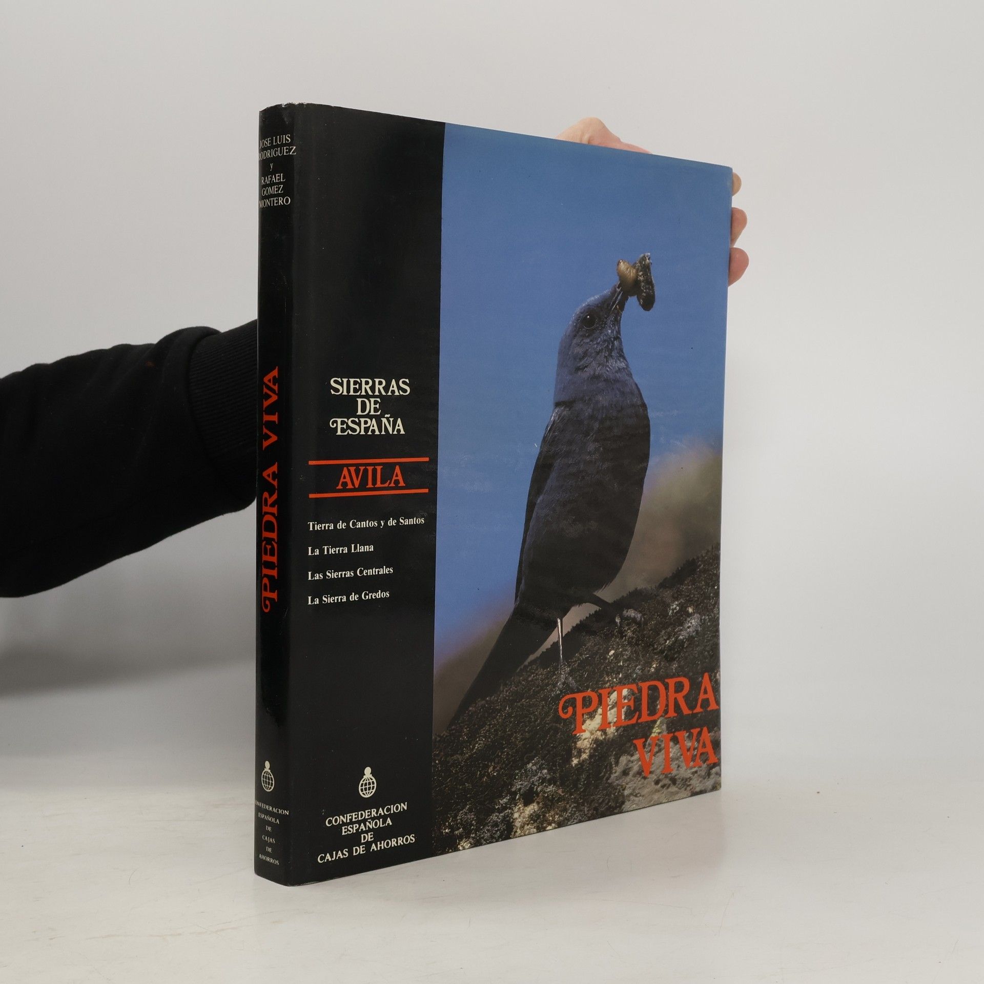 José Luis Rodríguez Sierras de España: Piedra Viva