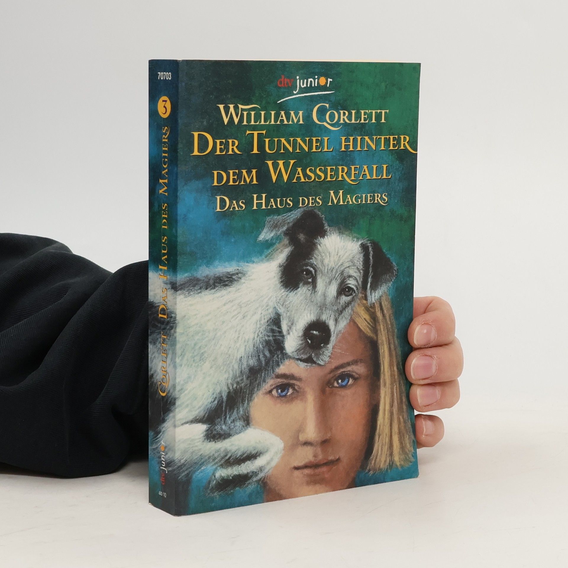 William Corlett Der Tunnel hinter dem Wasserfall