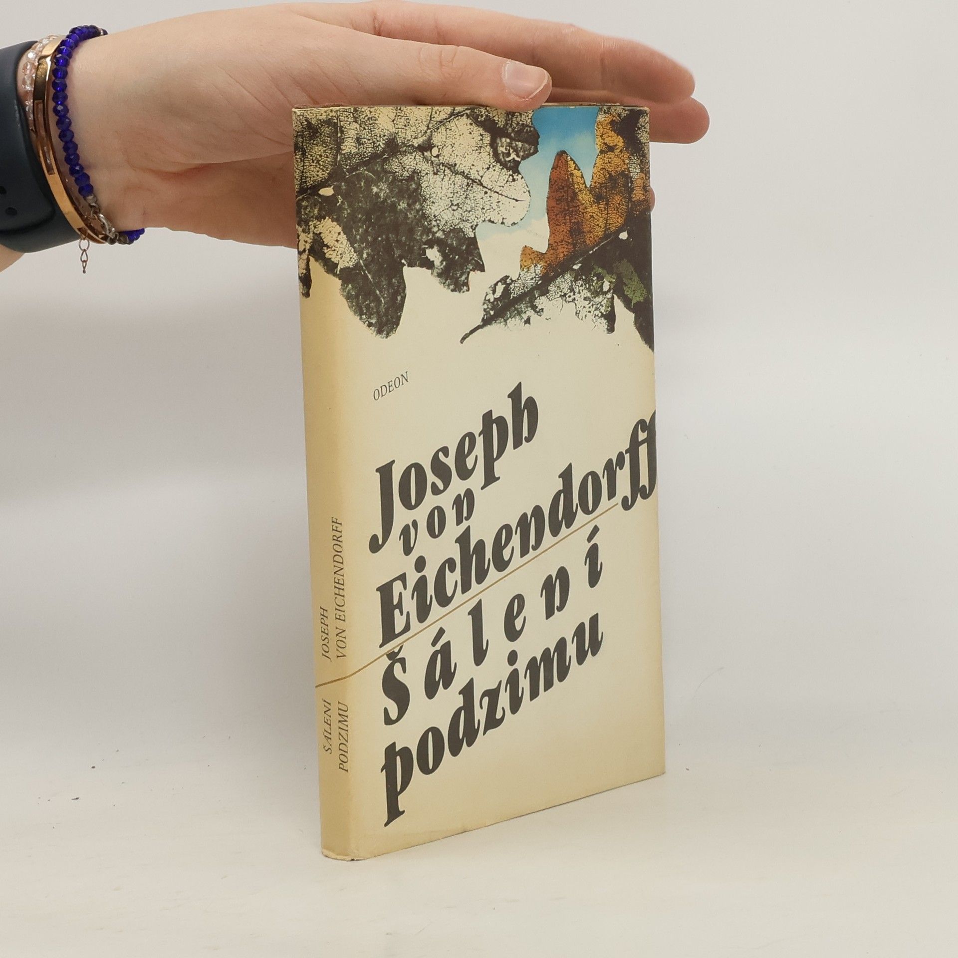 Joseph von Eichendorff Šálení podzimu : výbor z prozaického a lyrického díla