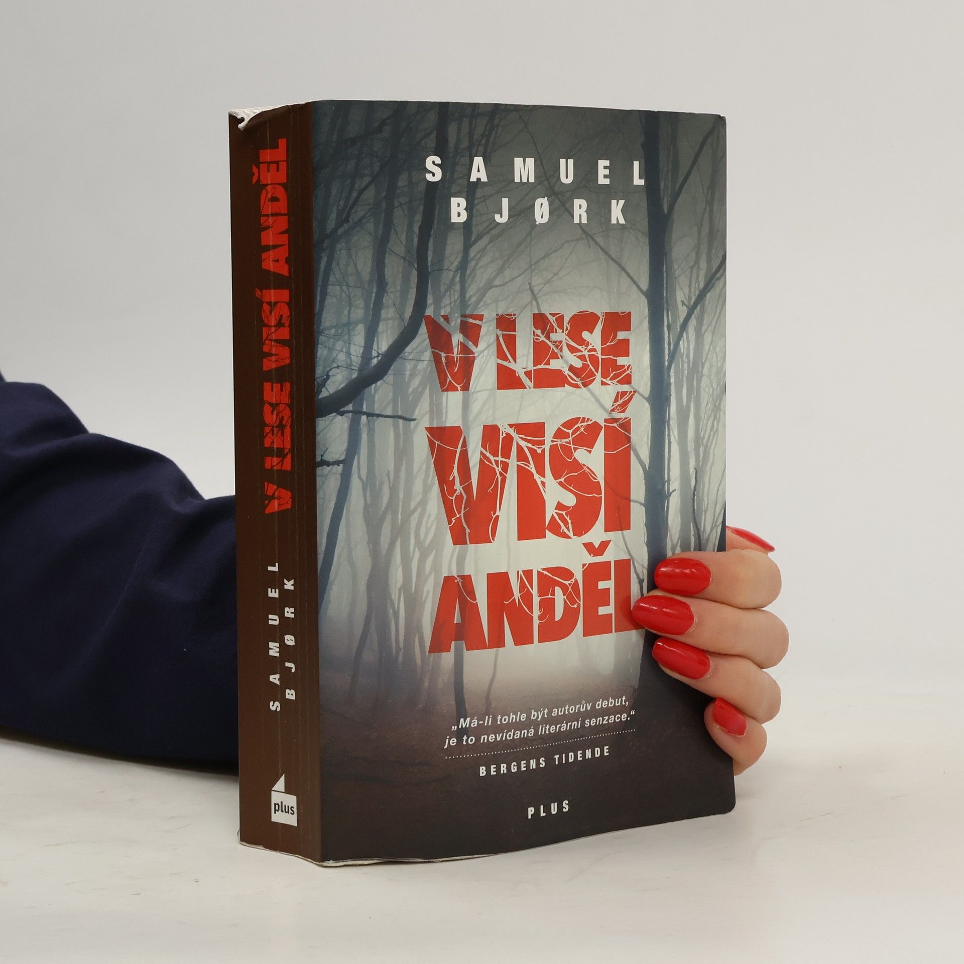 Samuel Bjork V lese visí anděl