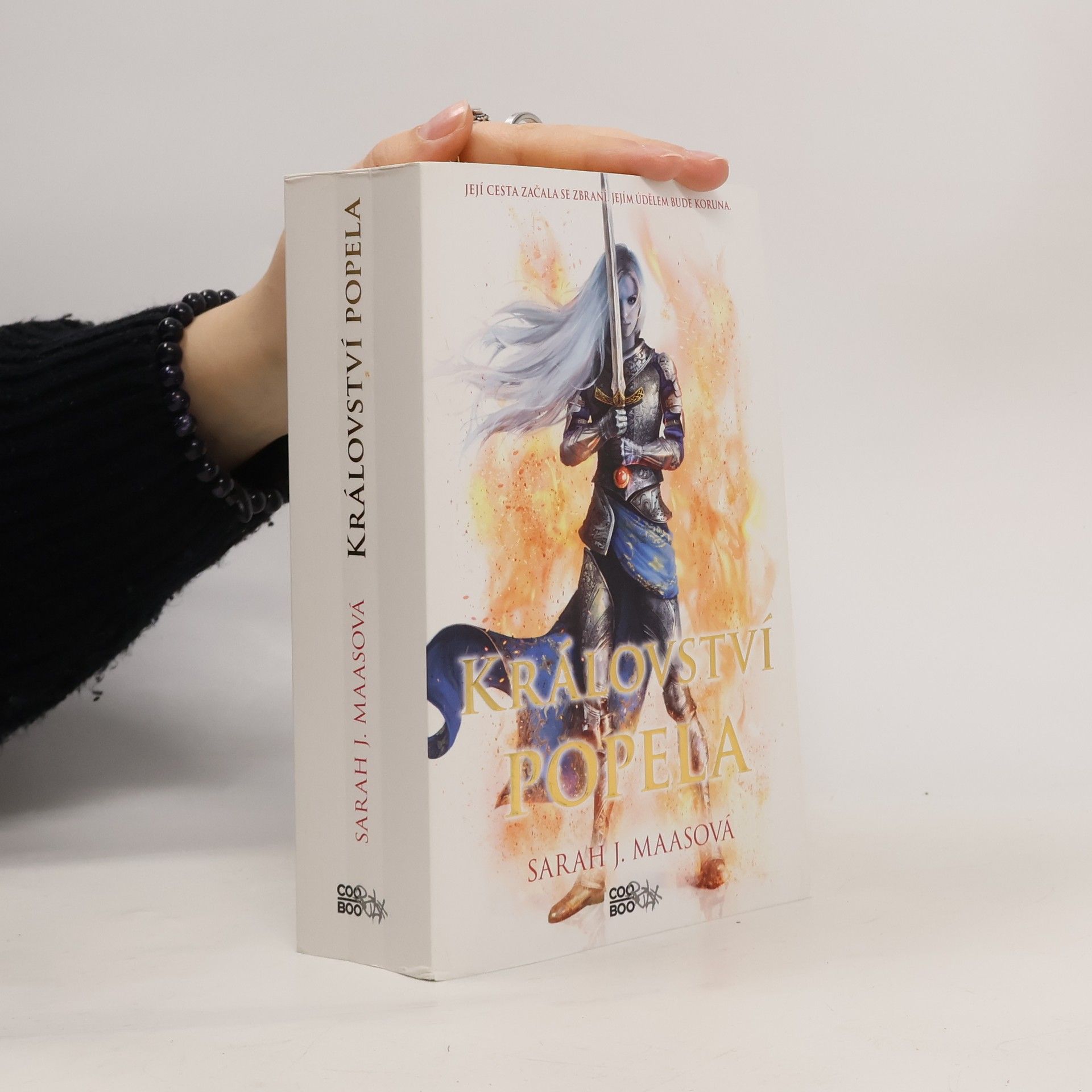 Sarah J. Maas Království popela