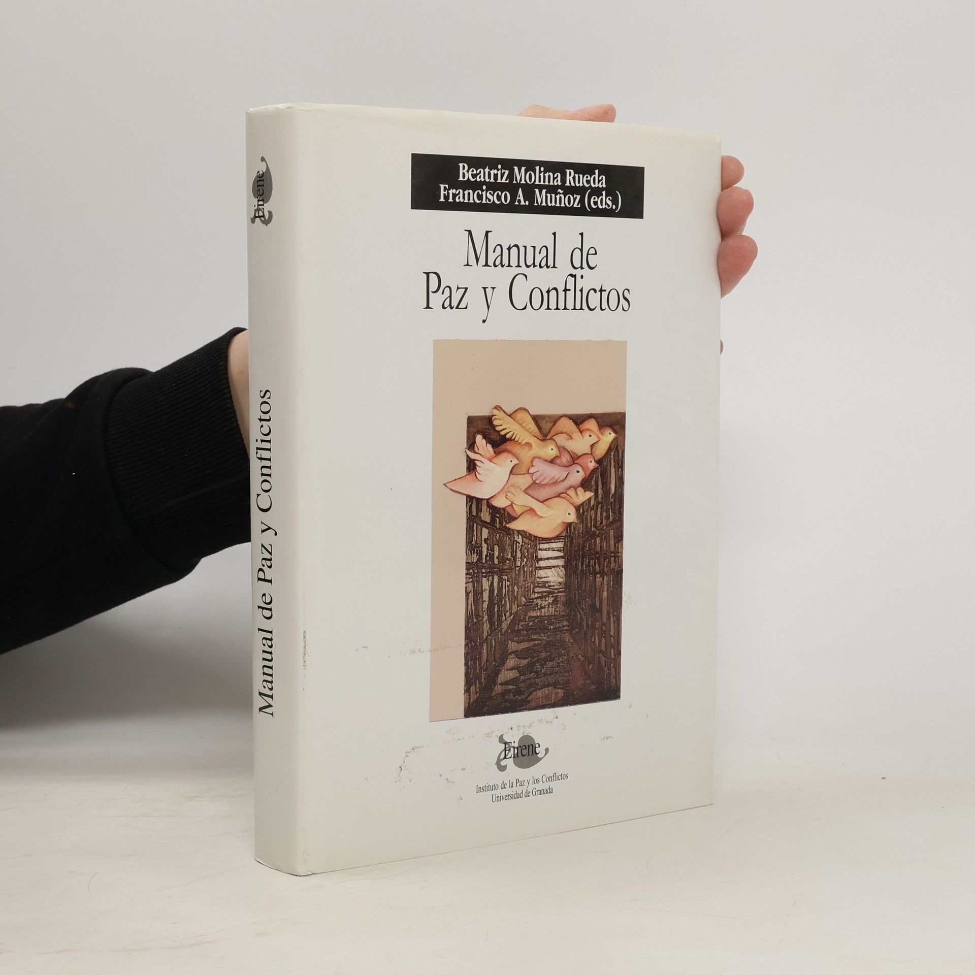 Beatriz Molina Rueda Manual de paz y conflictos