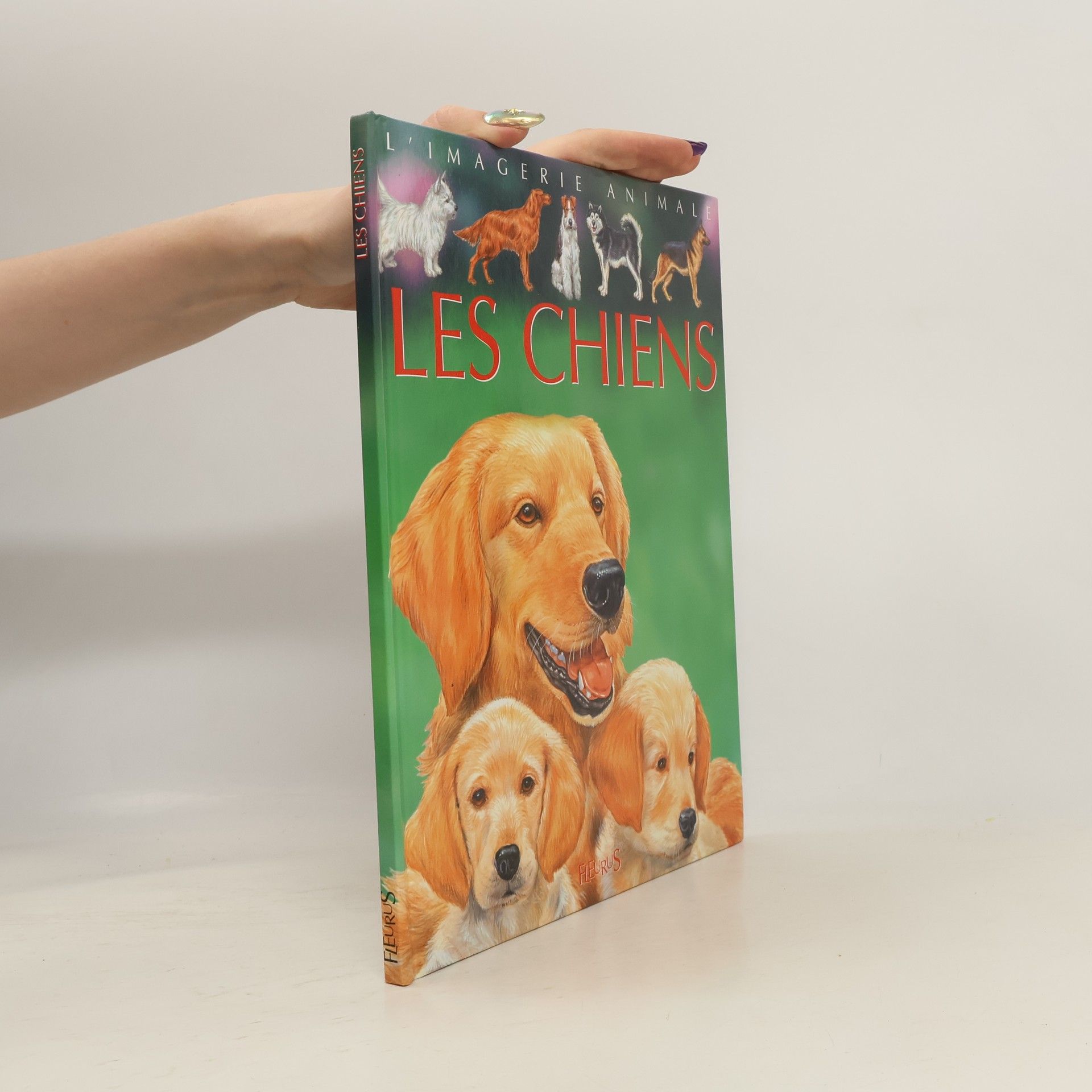 Lorenzo Orlandi Mia Les Chiens