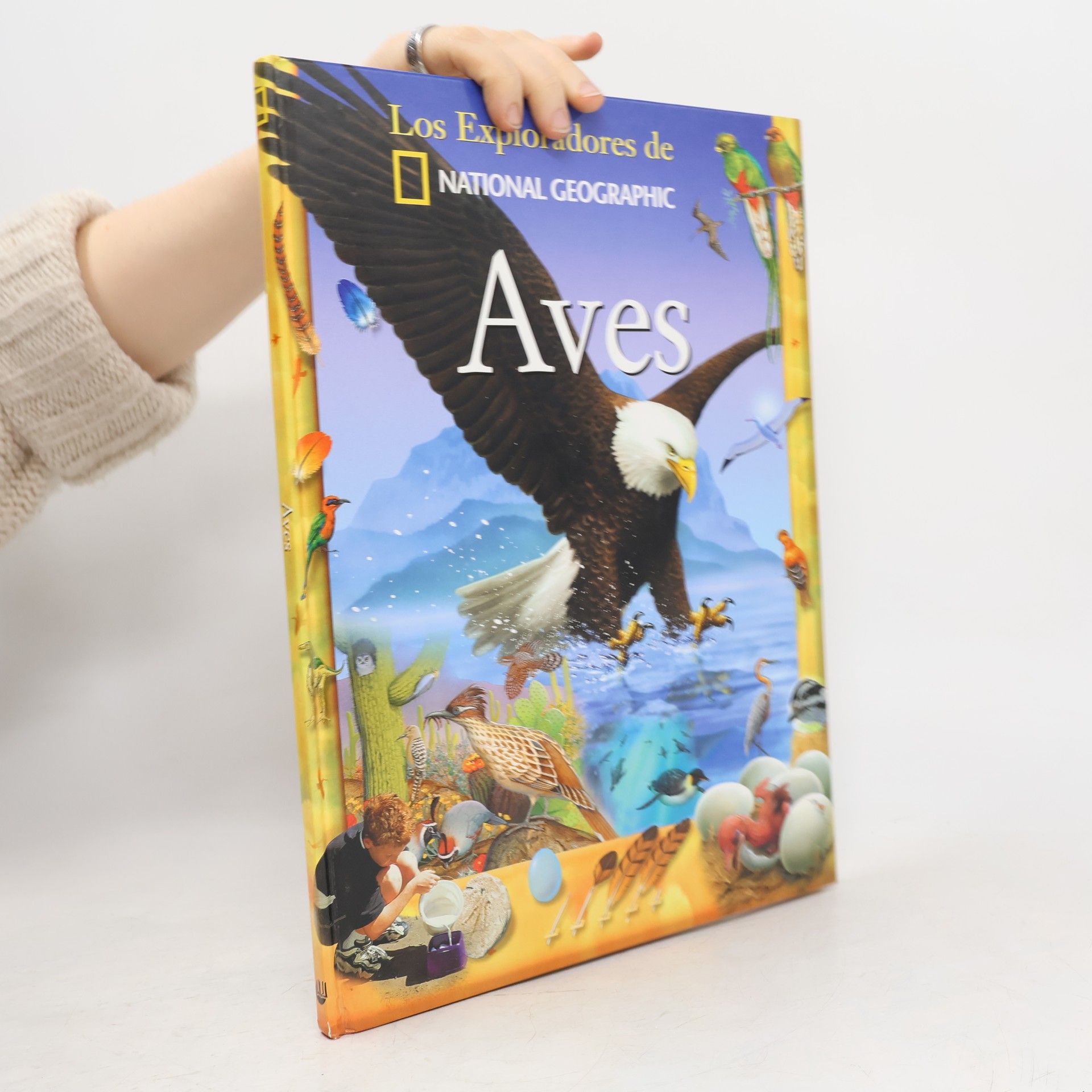 Edward S. Brinkley Aves