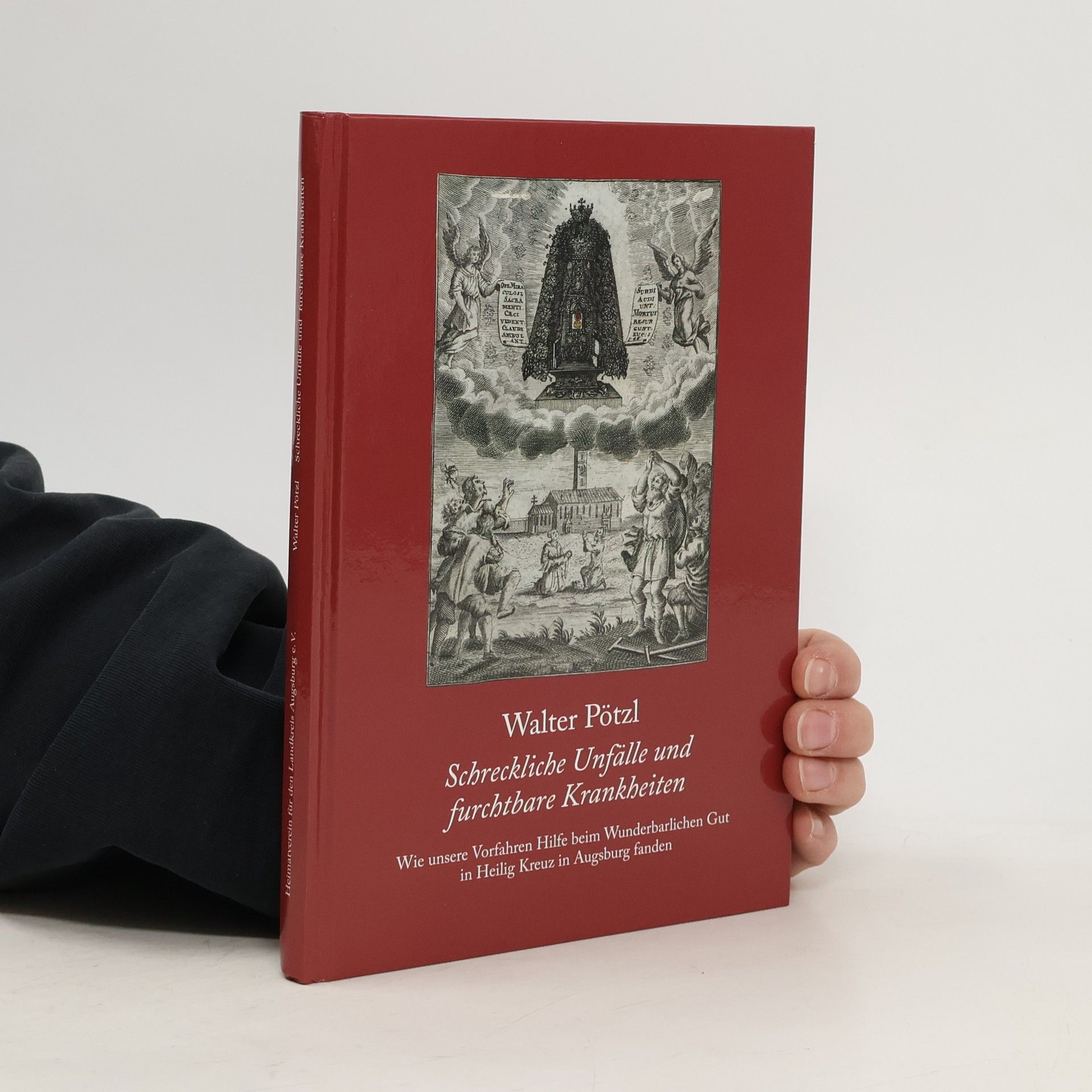 Walter Pötzl Schreckliche Unfälle und furchtbare Krankheiten